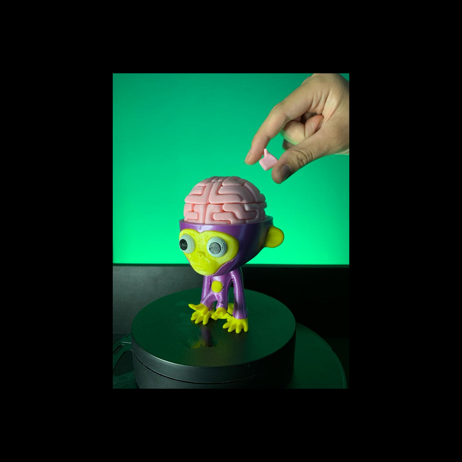 Rompecabezas Brainy the Monkey