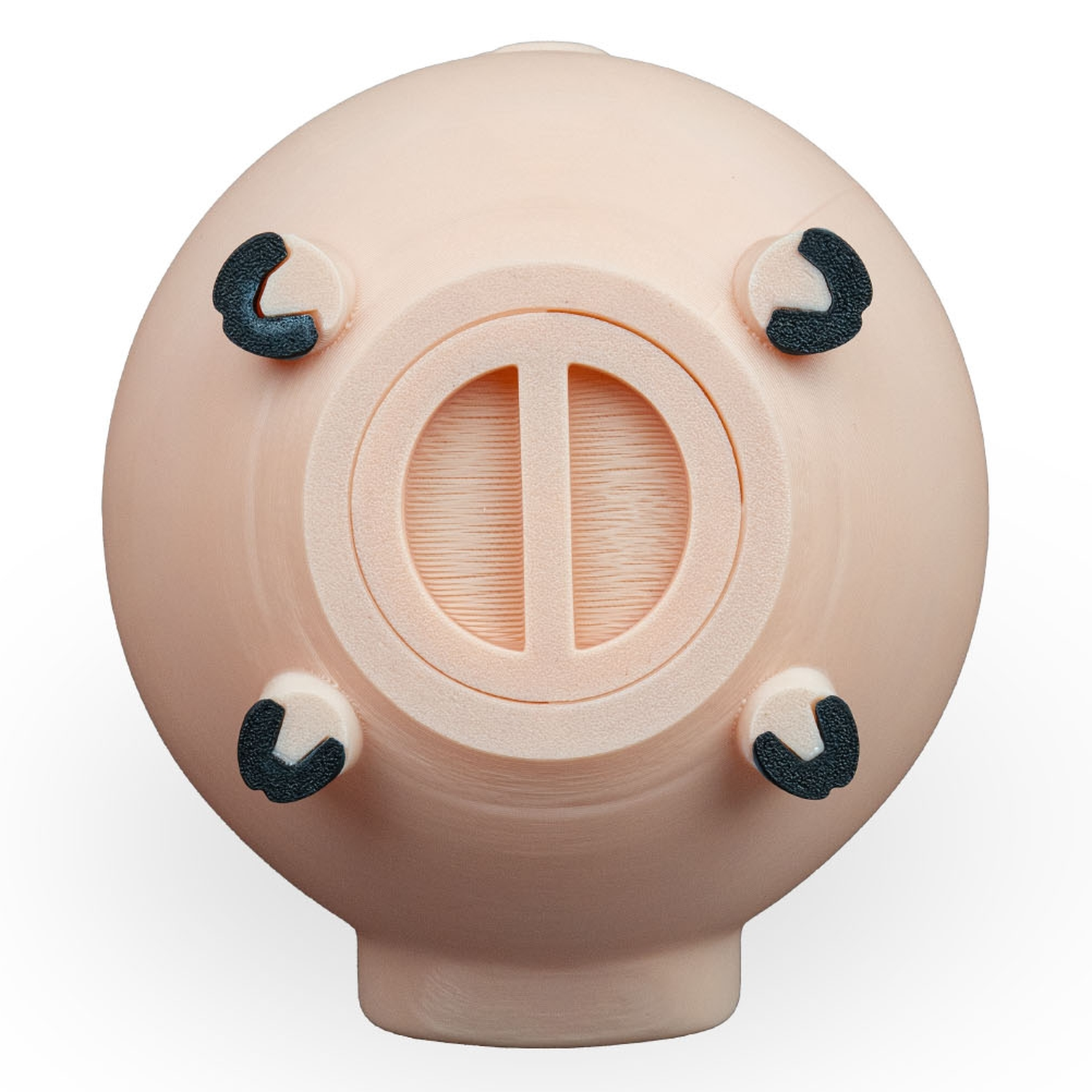 Hucha Oinkcome