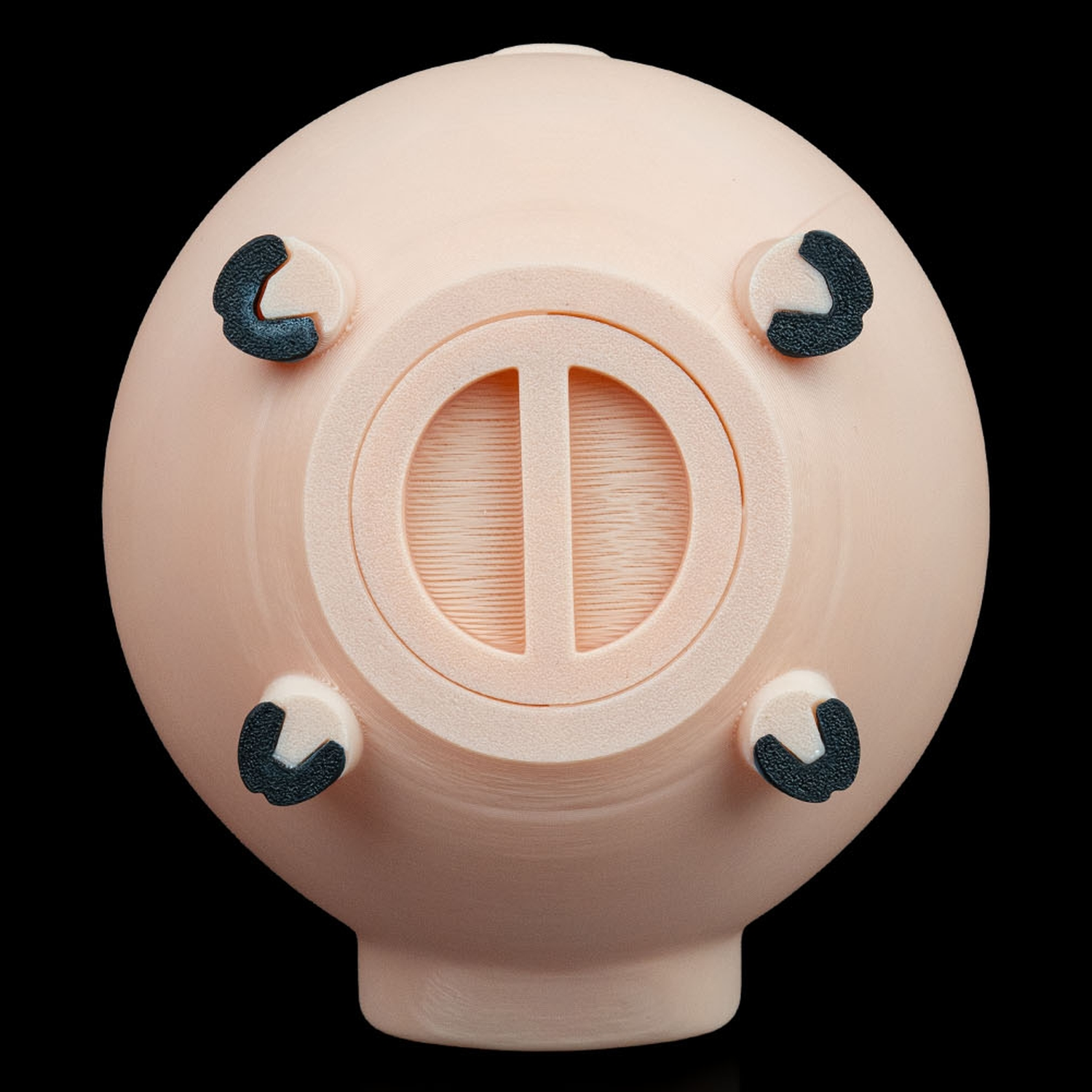 Hucha Oinkcome