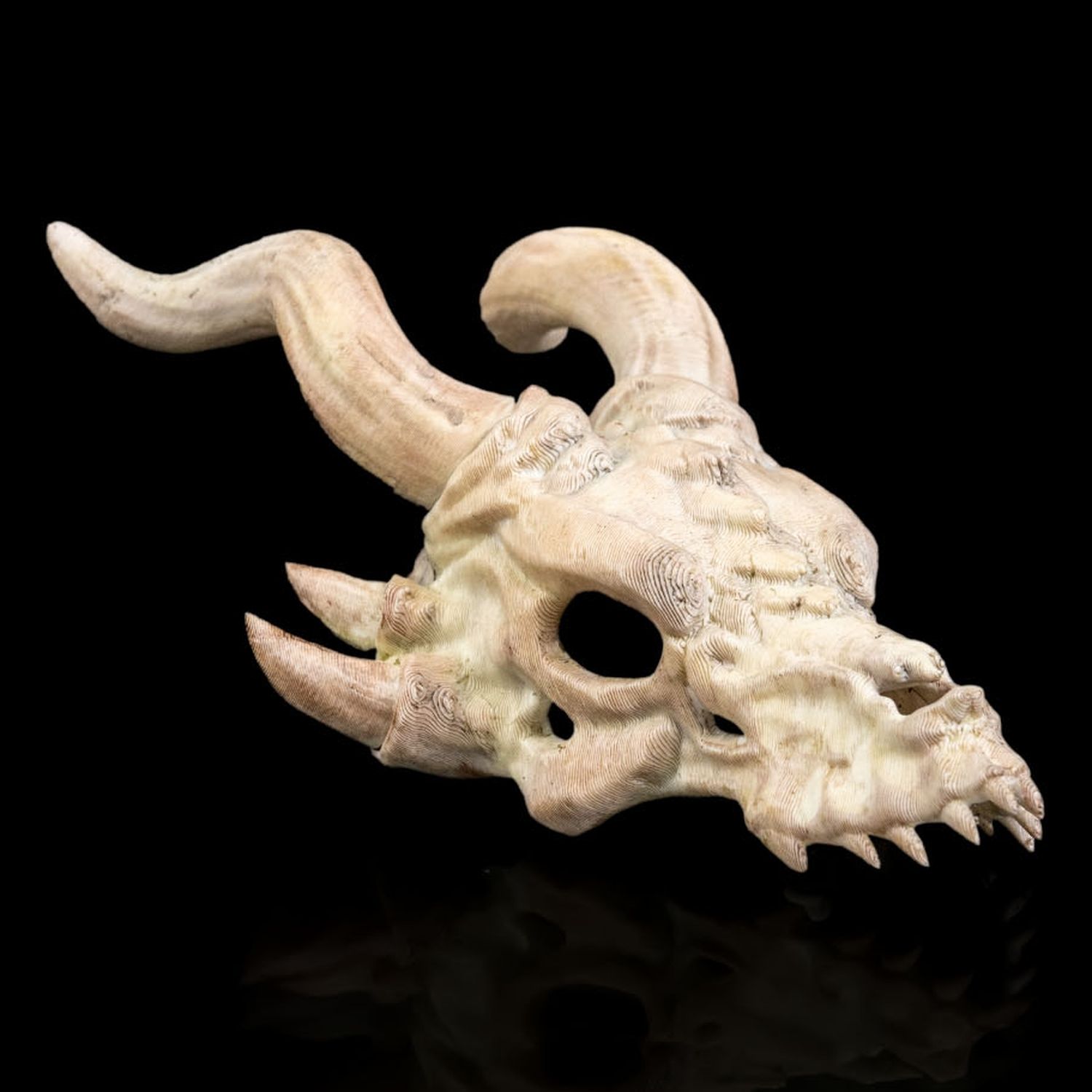 Horquilla Bone Trophy