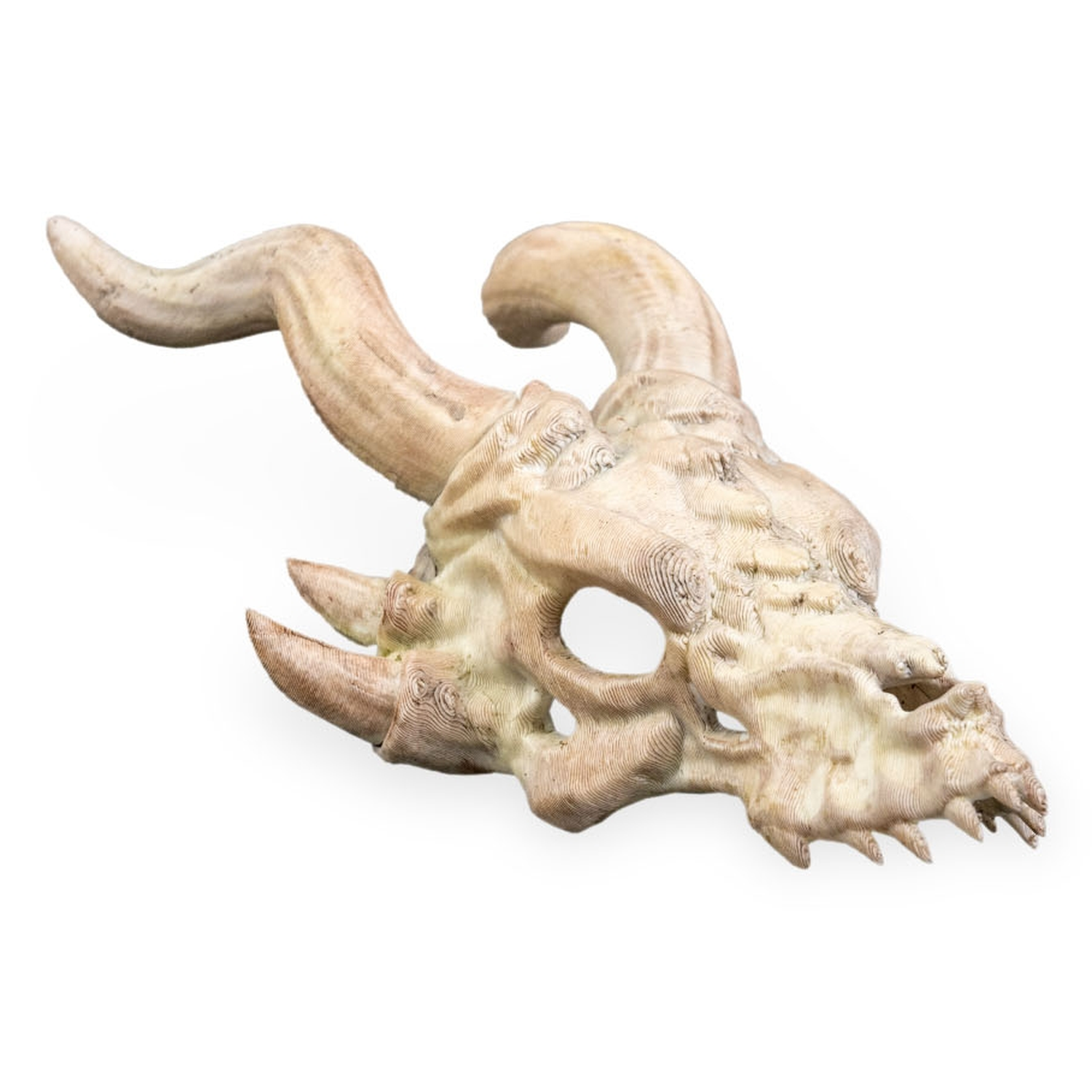 Horquilla Bone Trophy