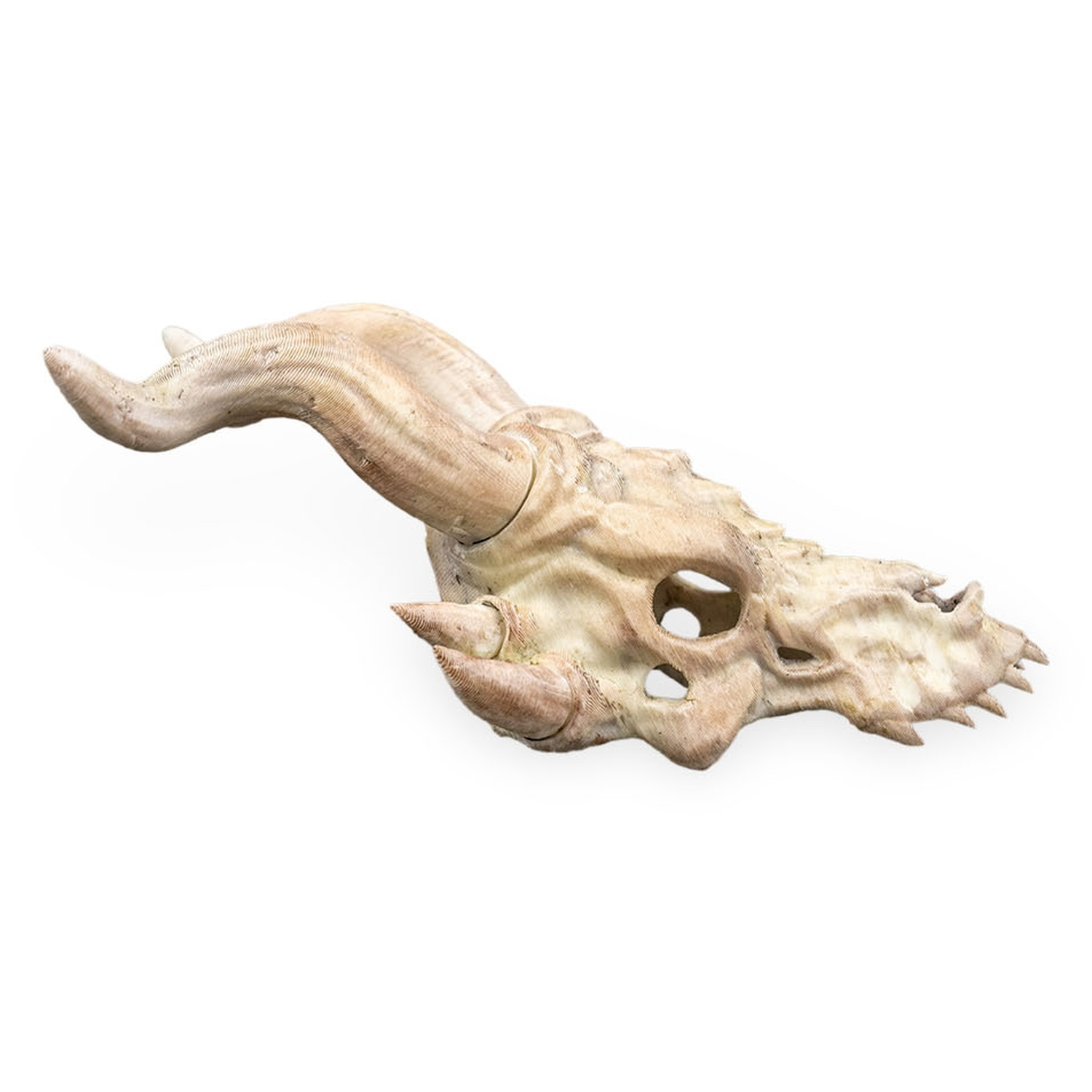 Horquilla Bone Trophy