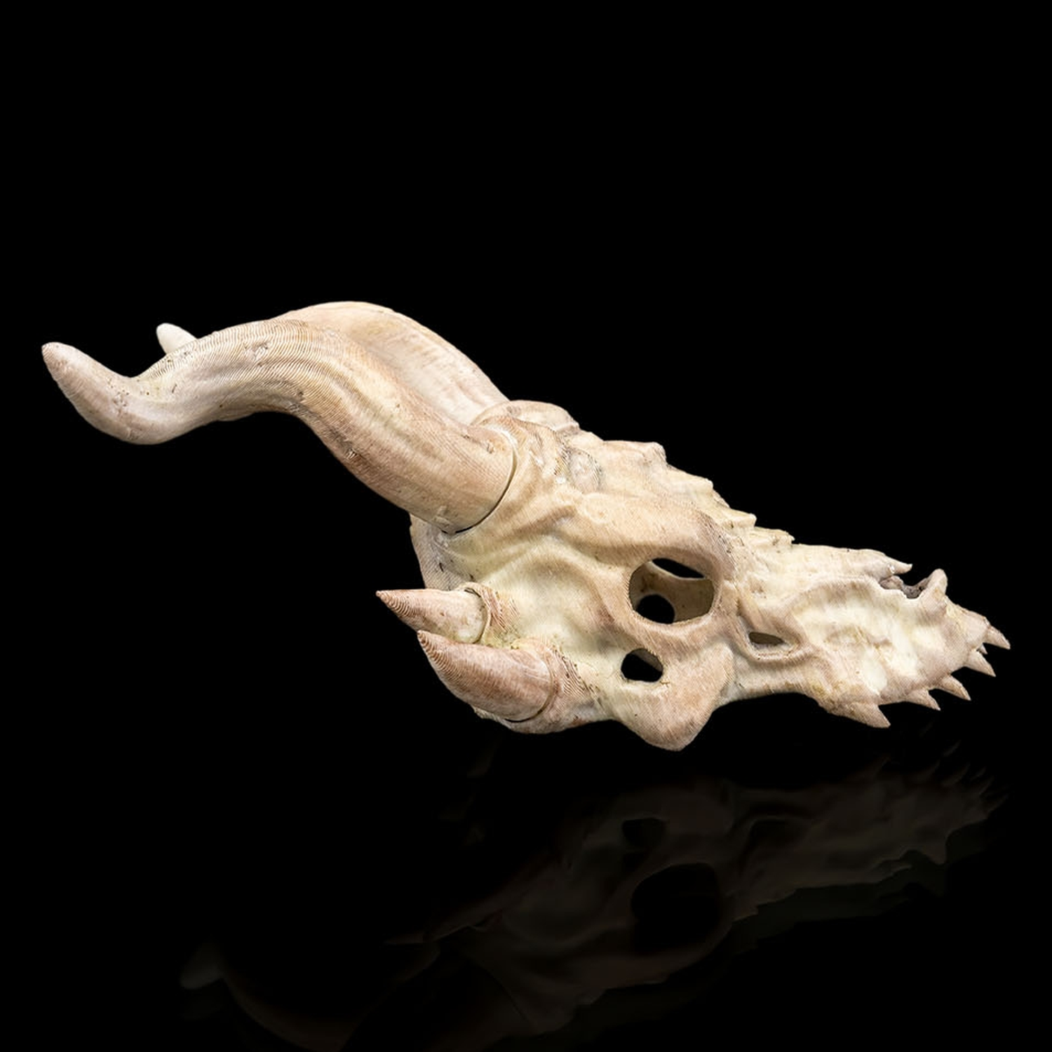 Horquilla Bone Trophy