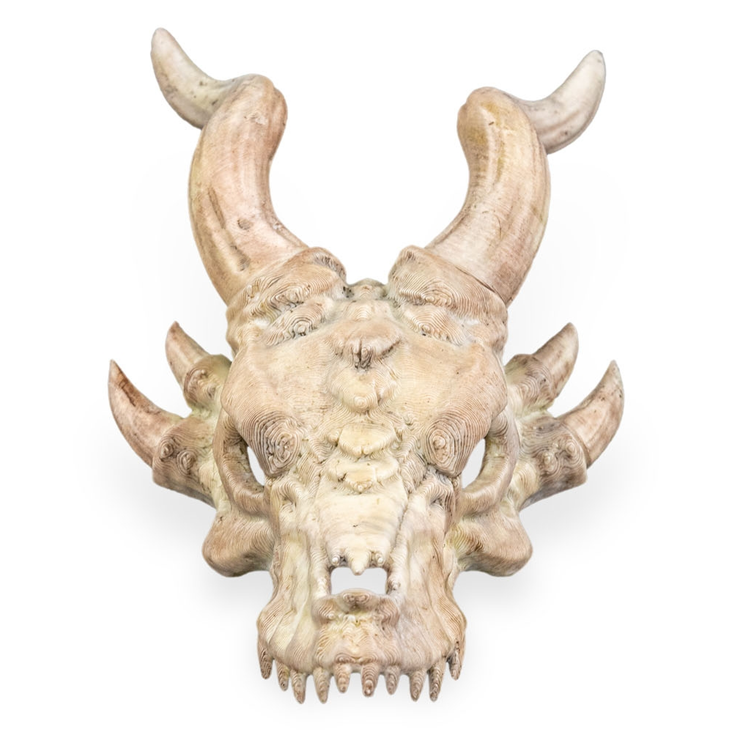 Horquilla Bone Trophy