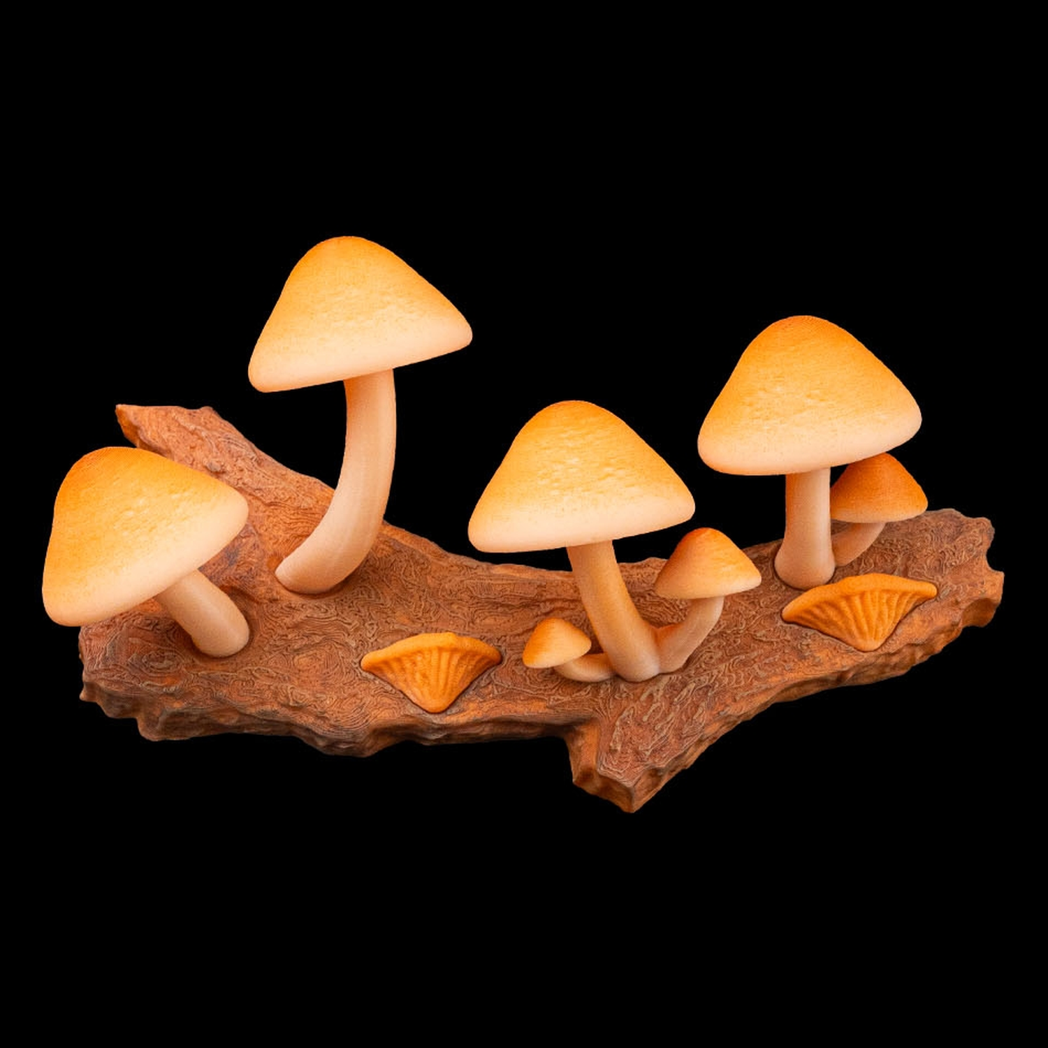 Imán decorativo Cap-tivating