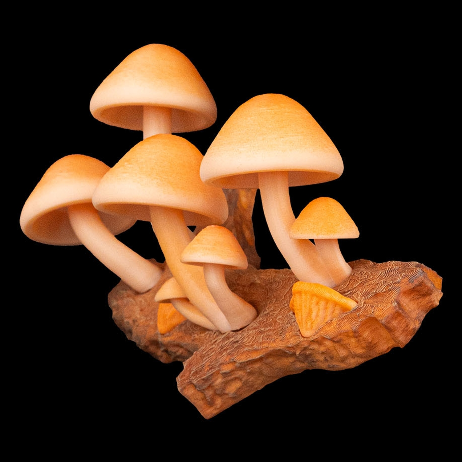 Imán decorativo Cap-tivating