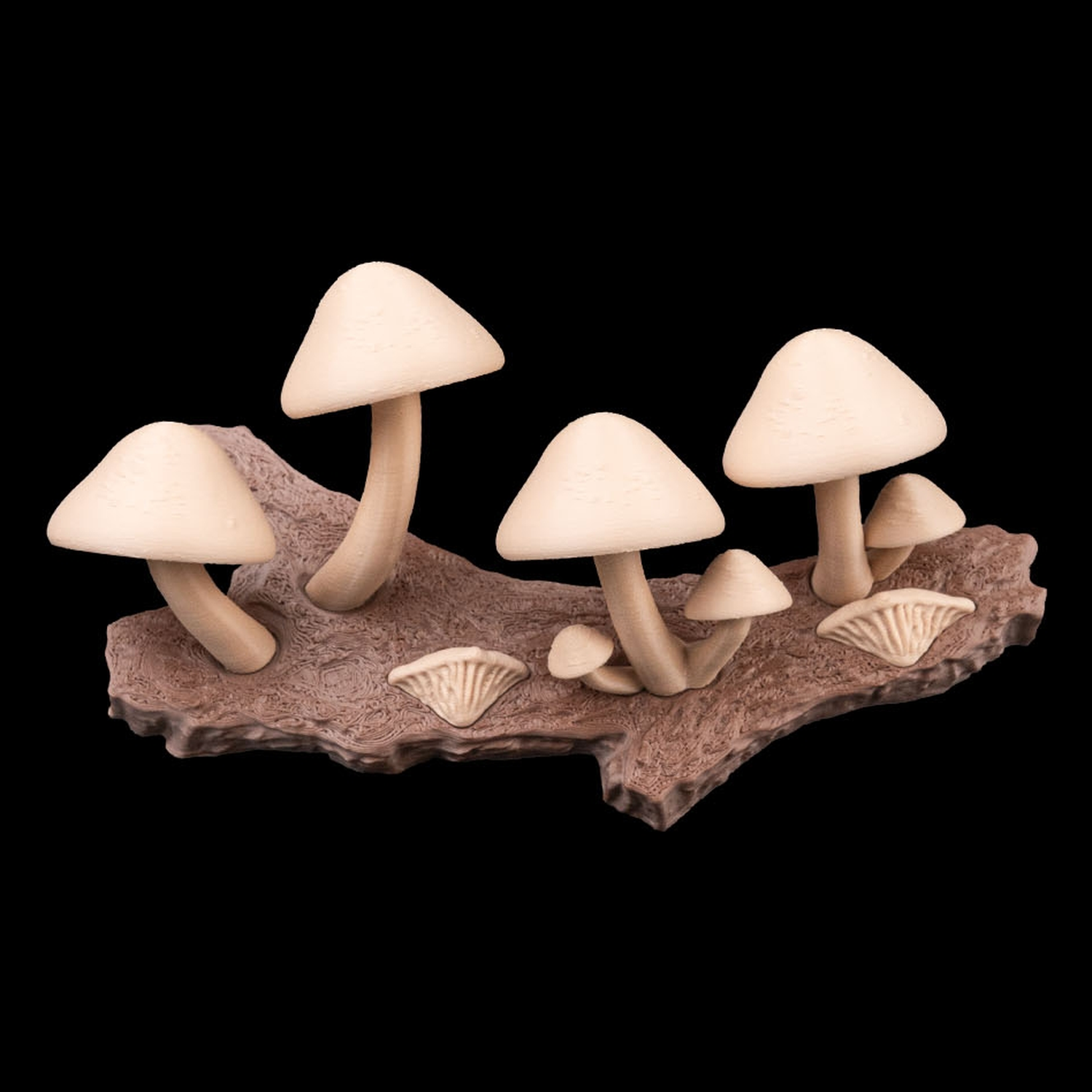 Imán decorativo Cap-tivating