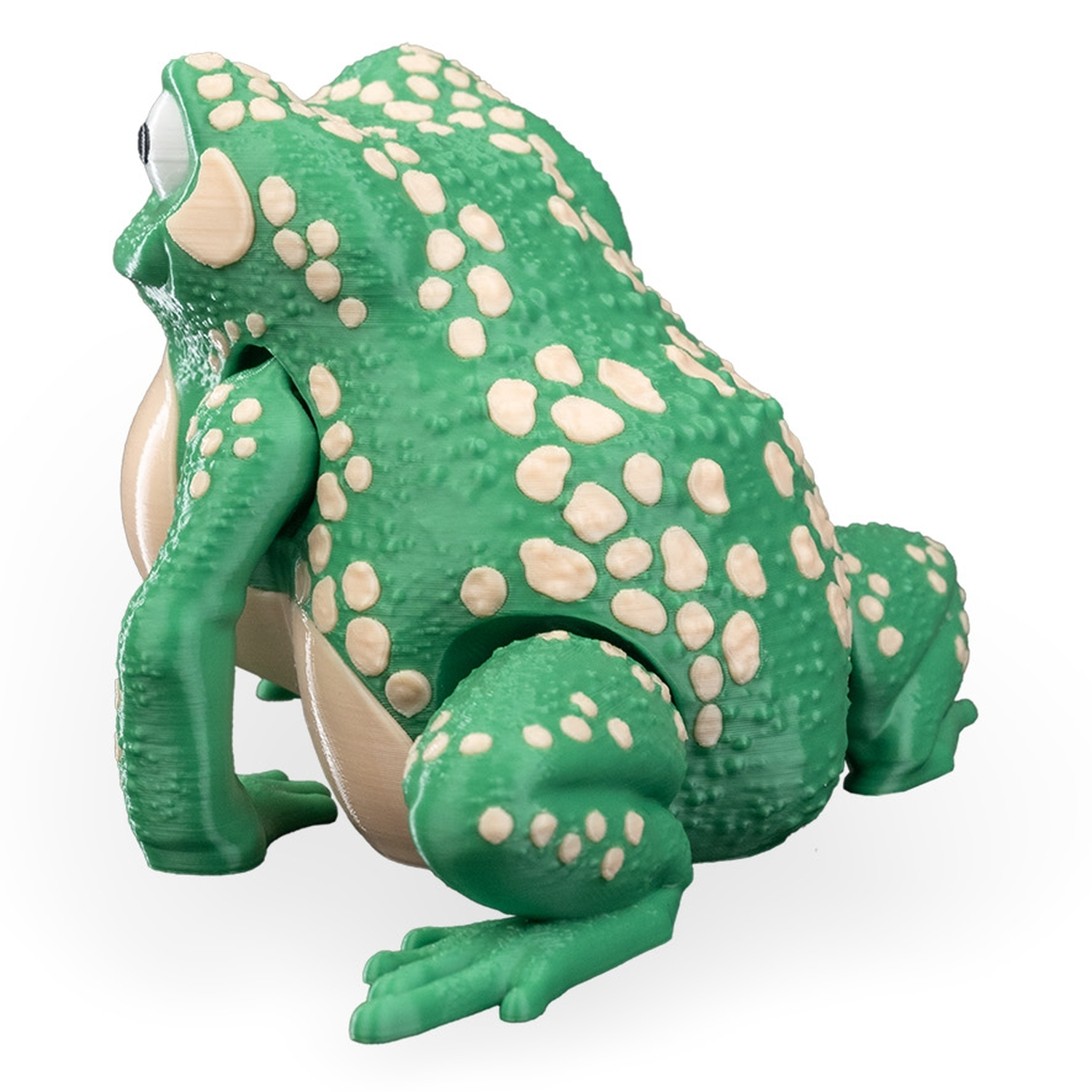 Figura decorativa Kate, the Cane Toad