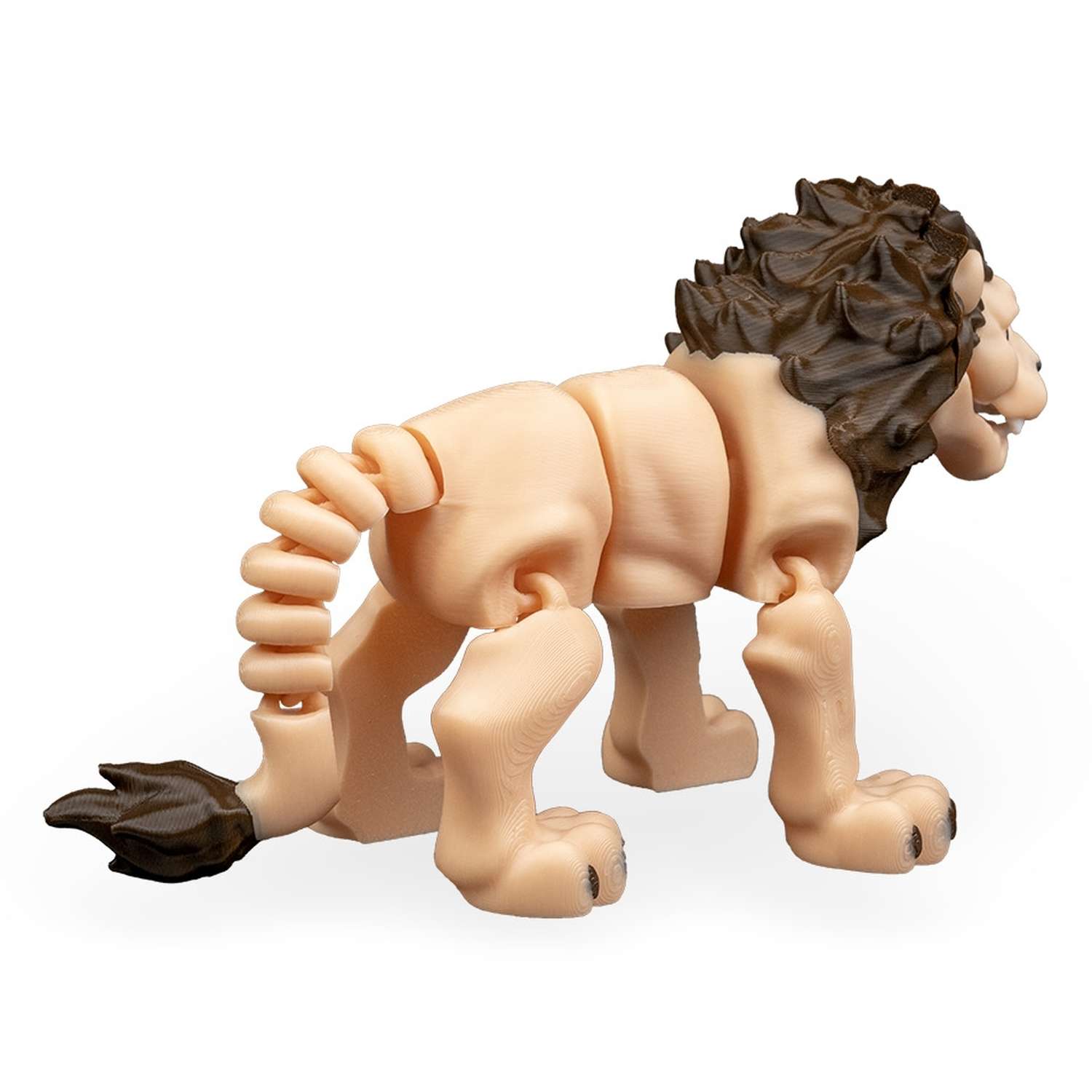 León articulado