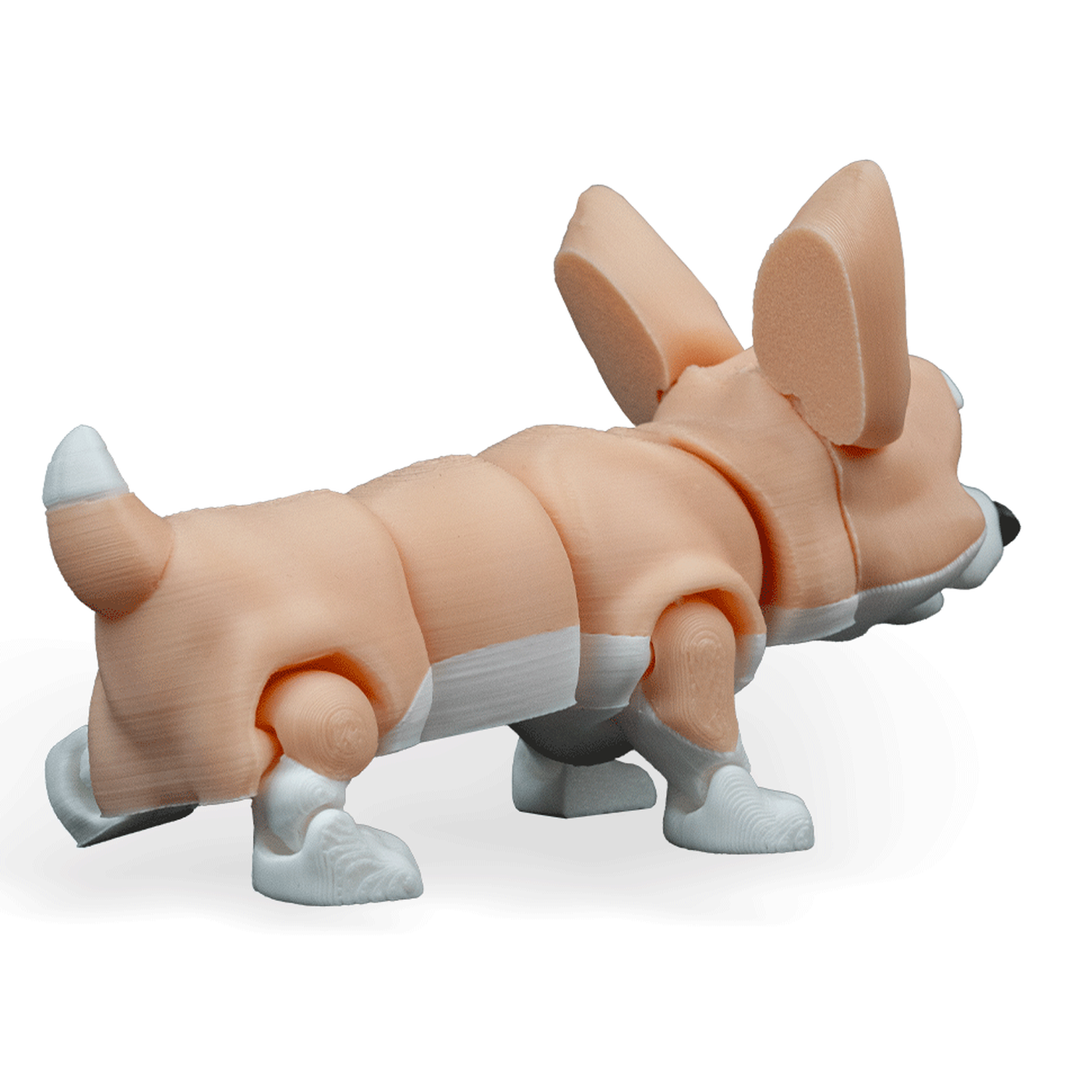 Figura decorativa Rufus, the Welsh Corgi