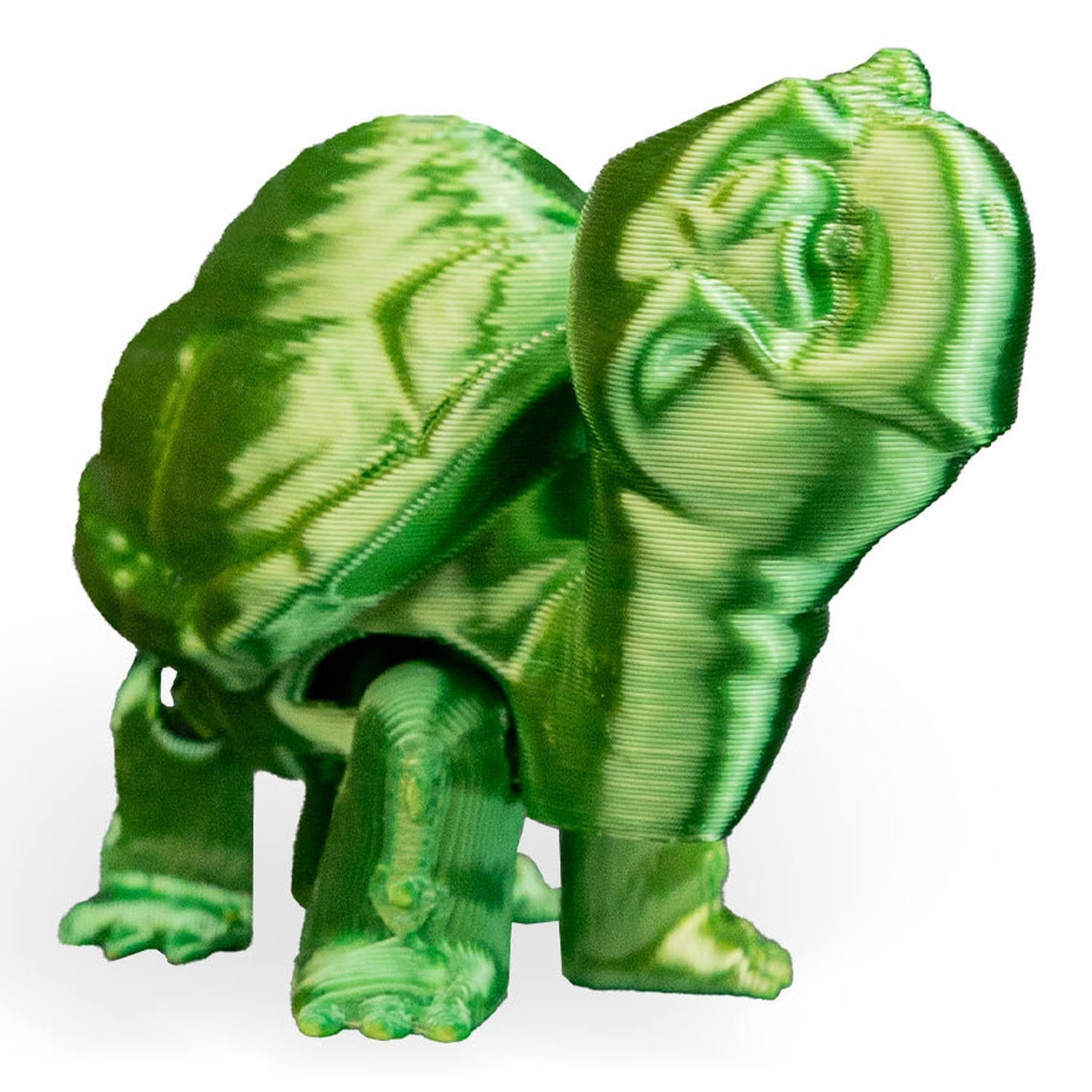 Figura decorativa Pair of Tortoises