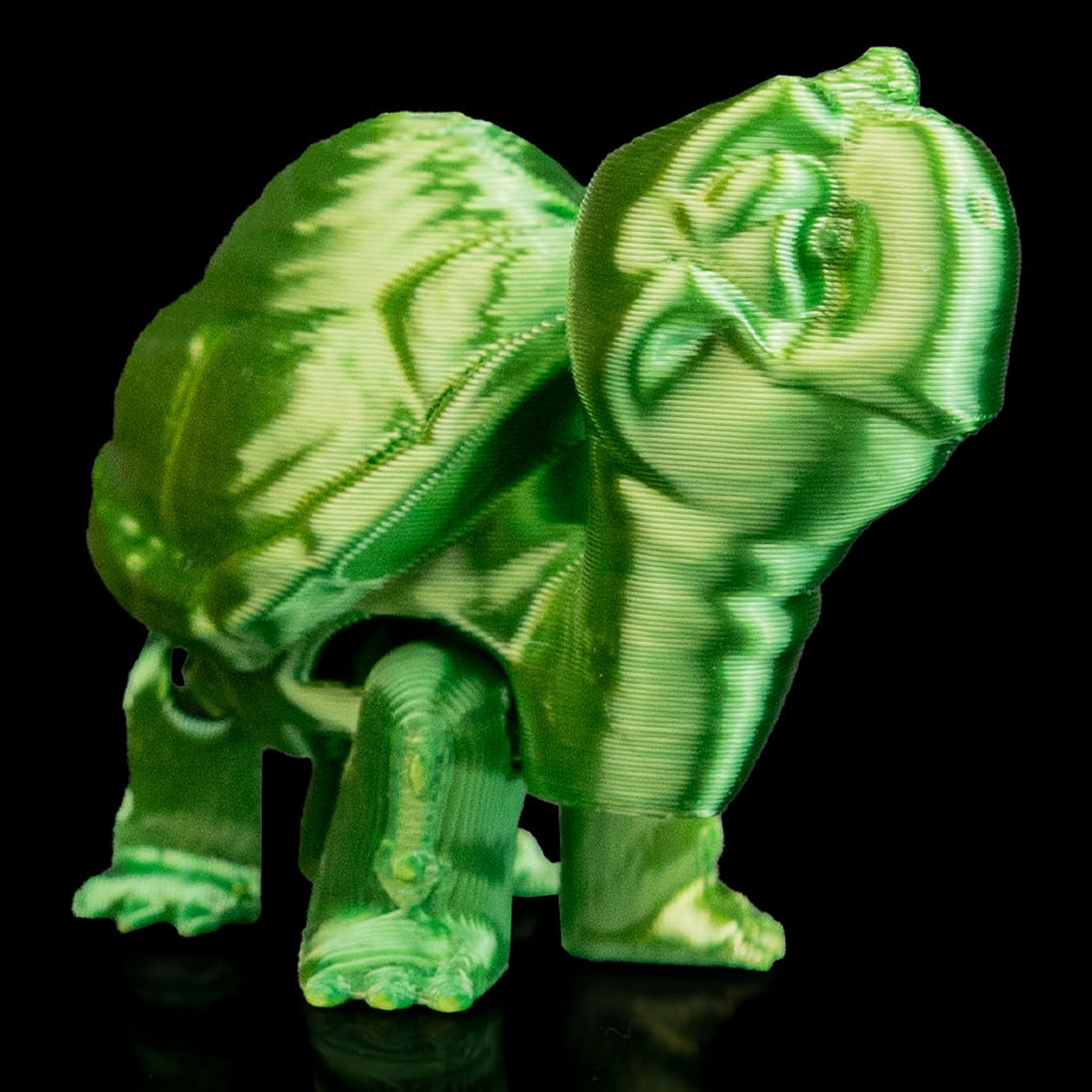 Figura decorativa Pair of Tortoises