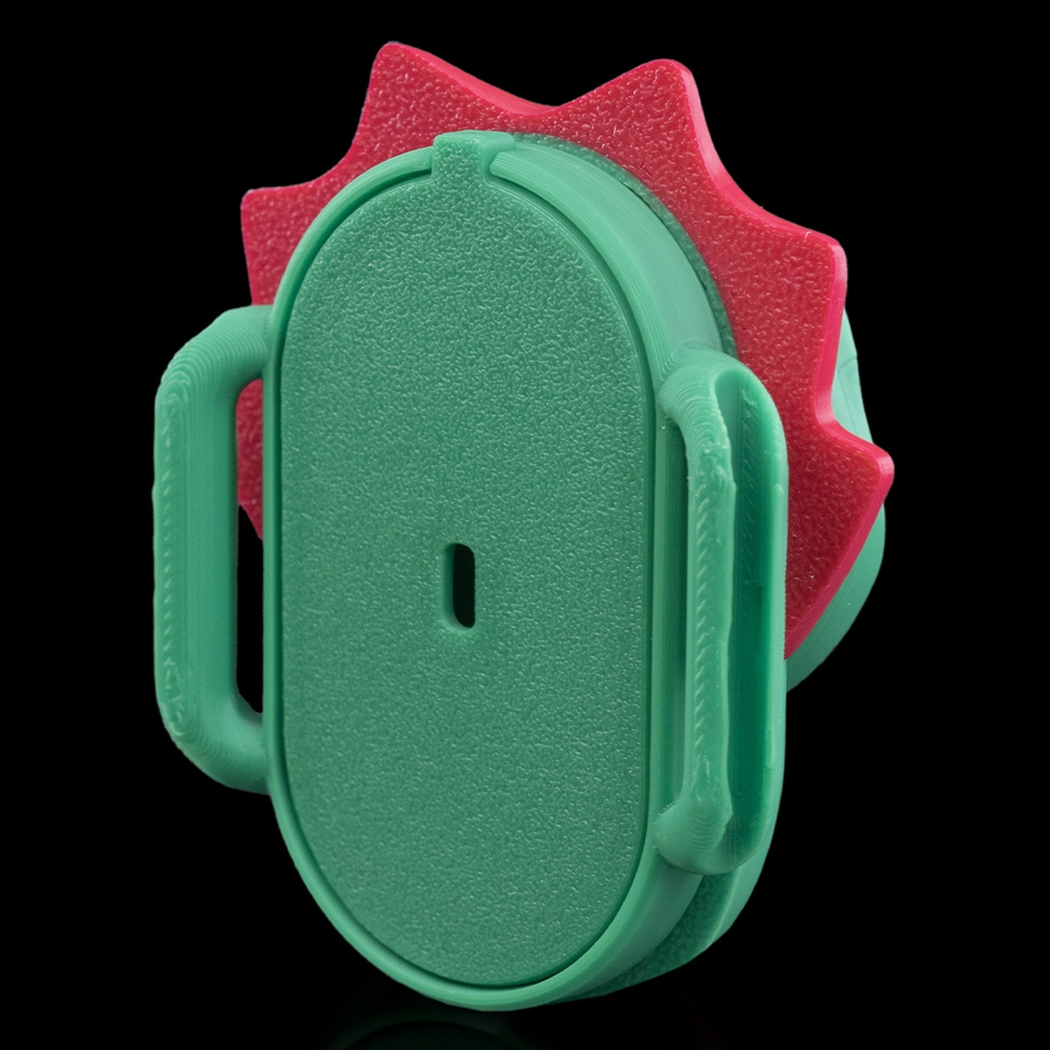 Figura decorativa DinoTag