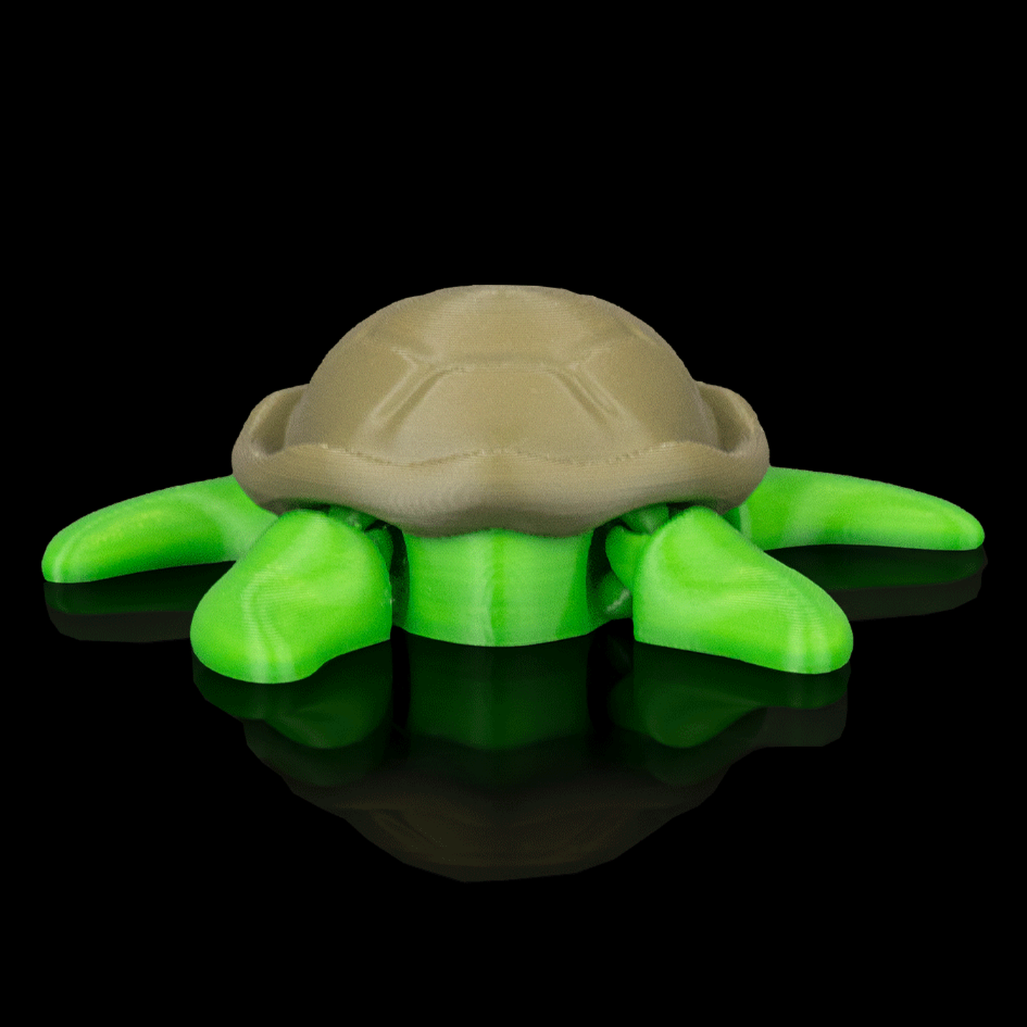 Llavero de tortuga descansando