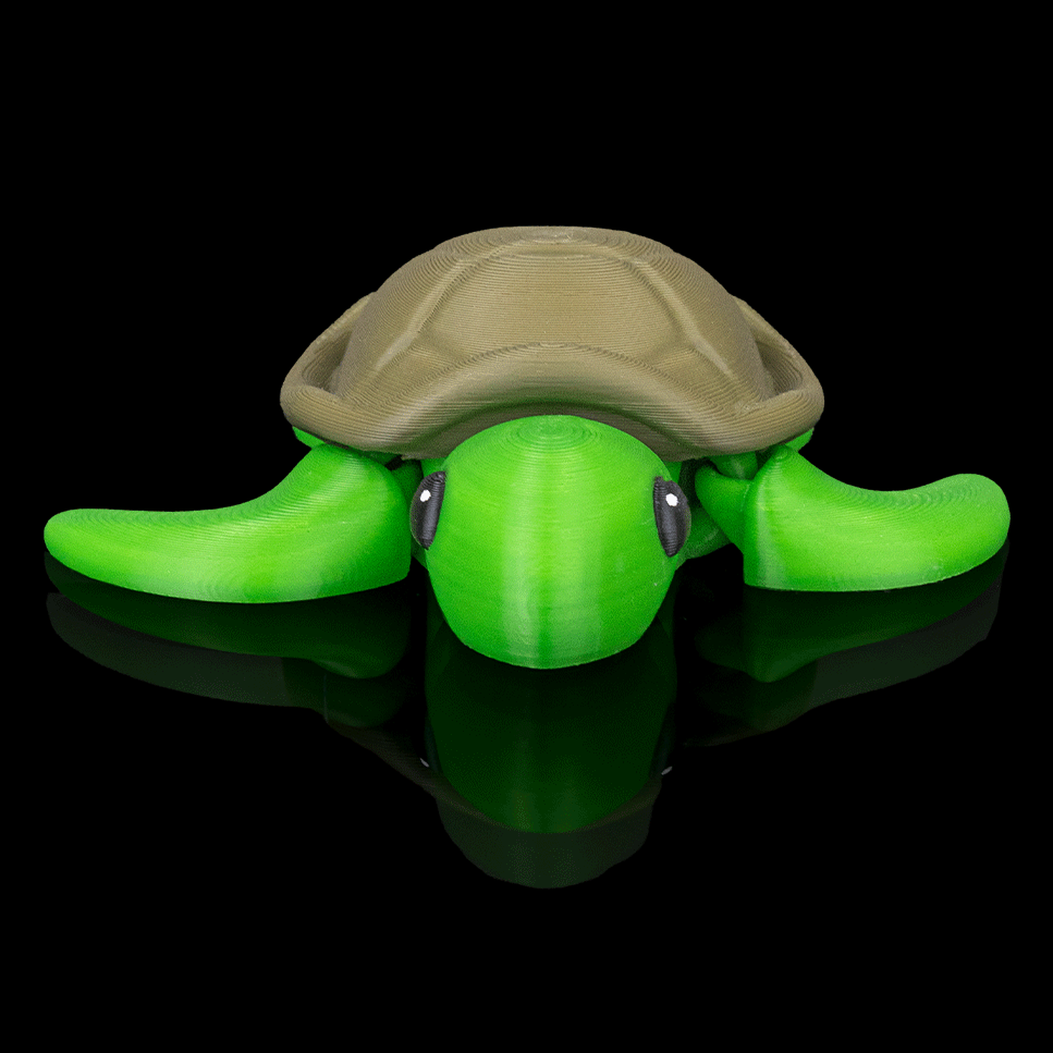 Llavero de tortuga descansando