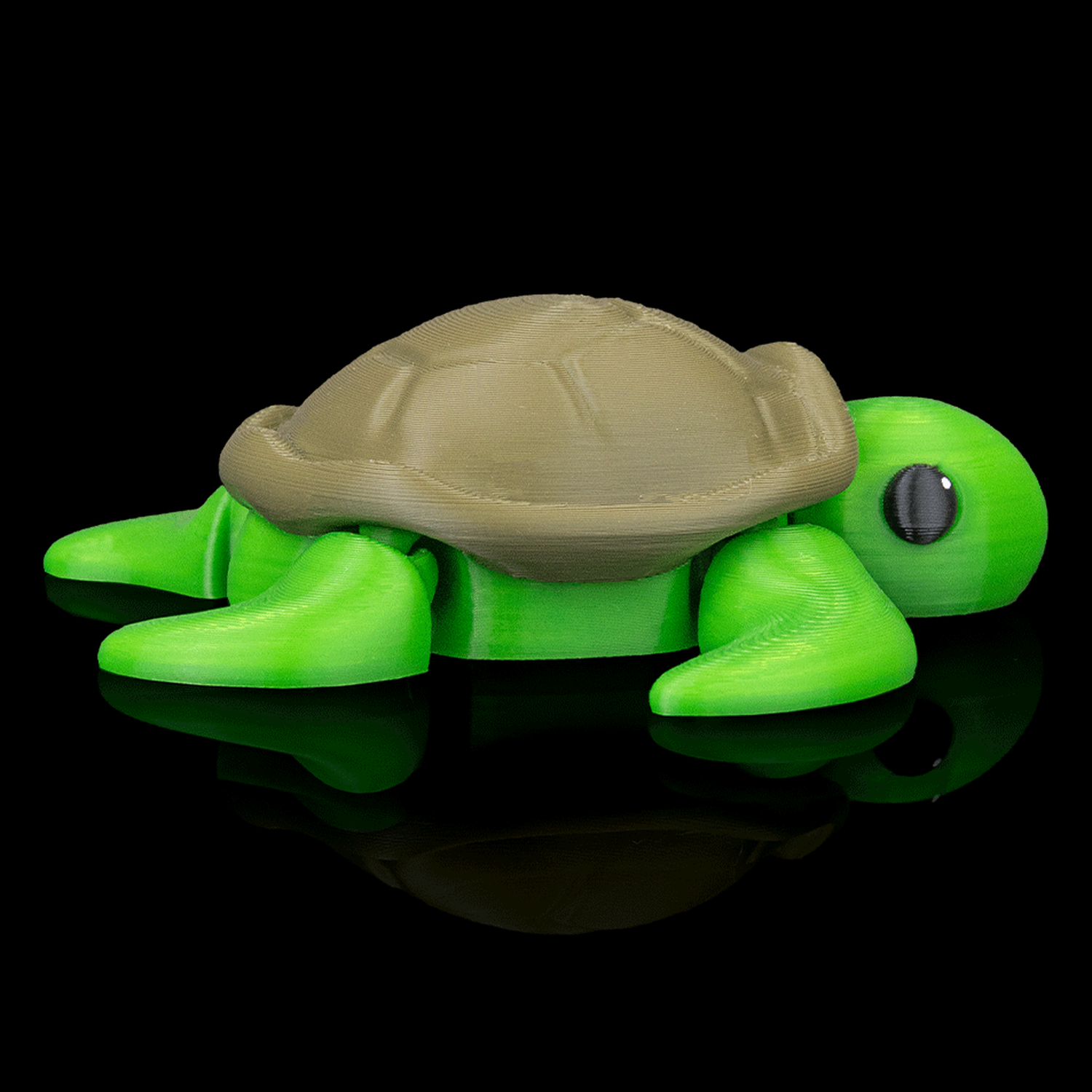 Llavero de tortuga descansando