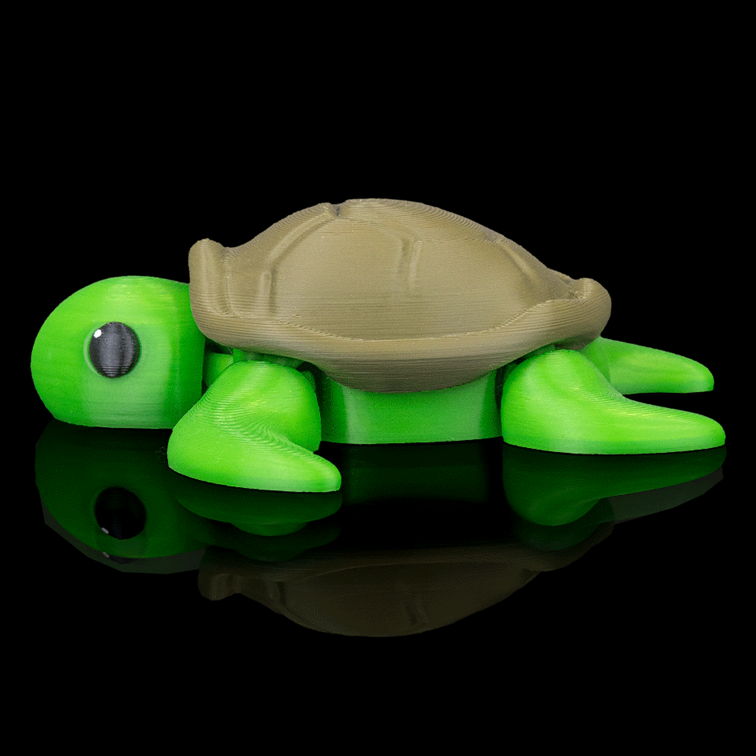 Llavero de tortuga descansando