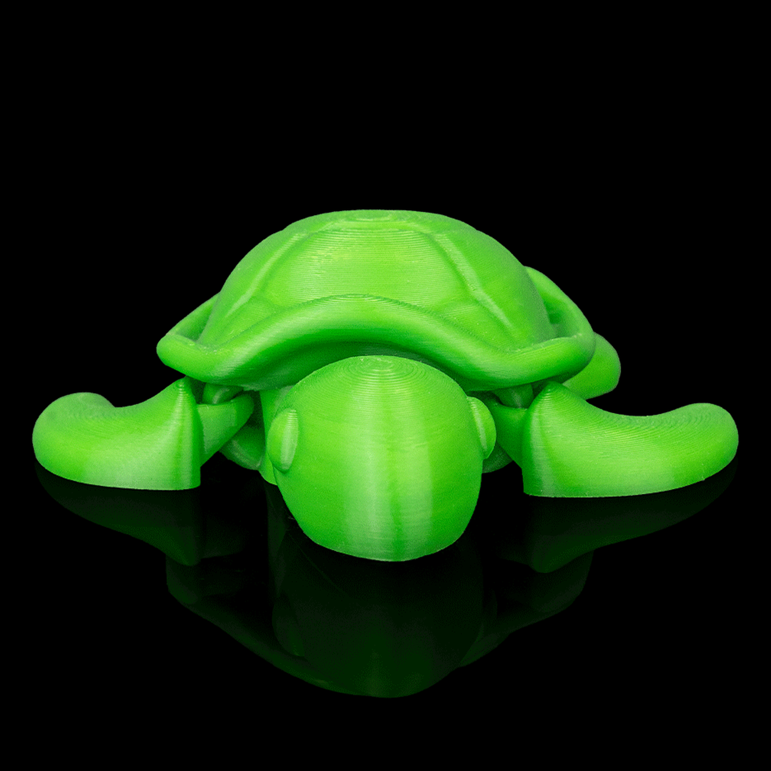 Llavero de tortuga descansando