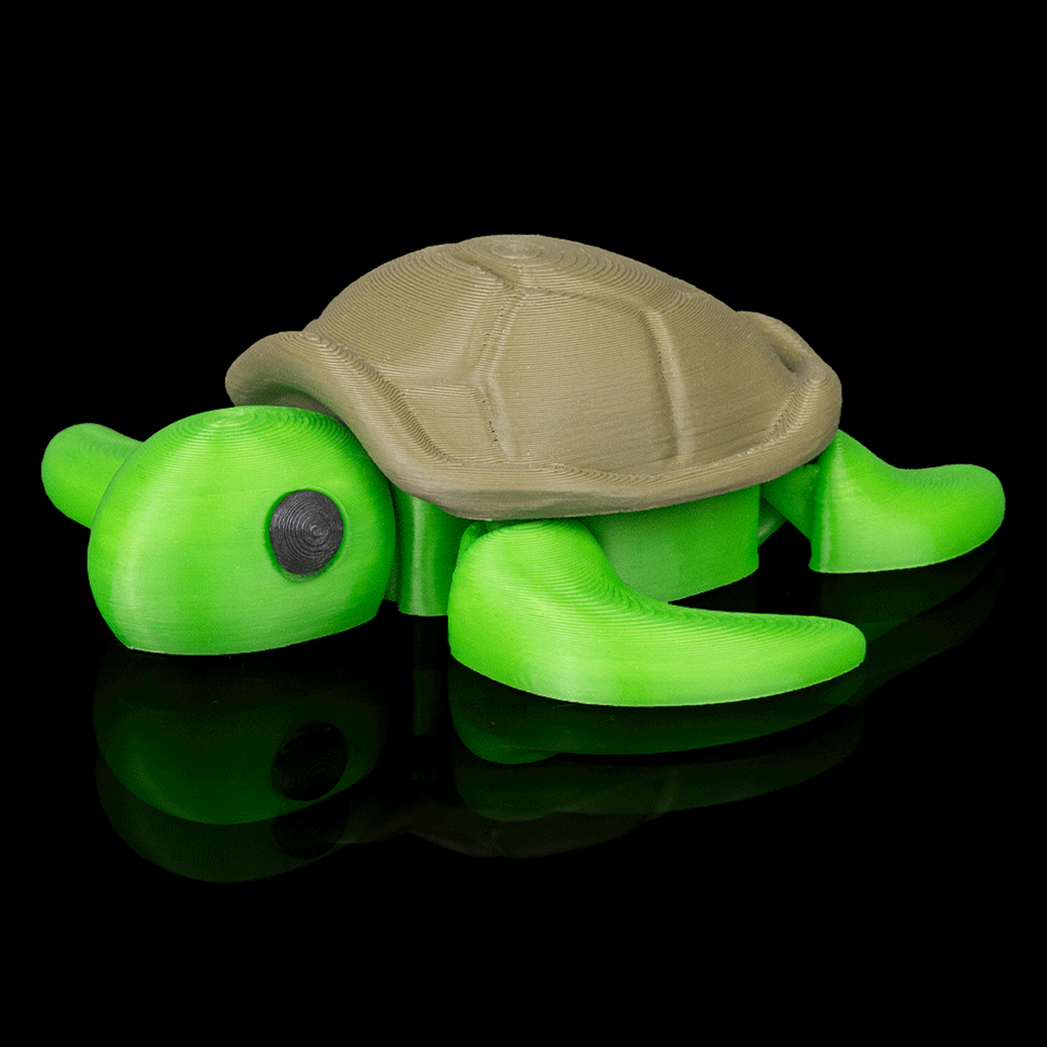 Llavero de tortuga descansando