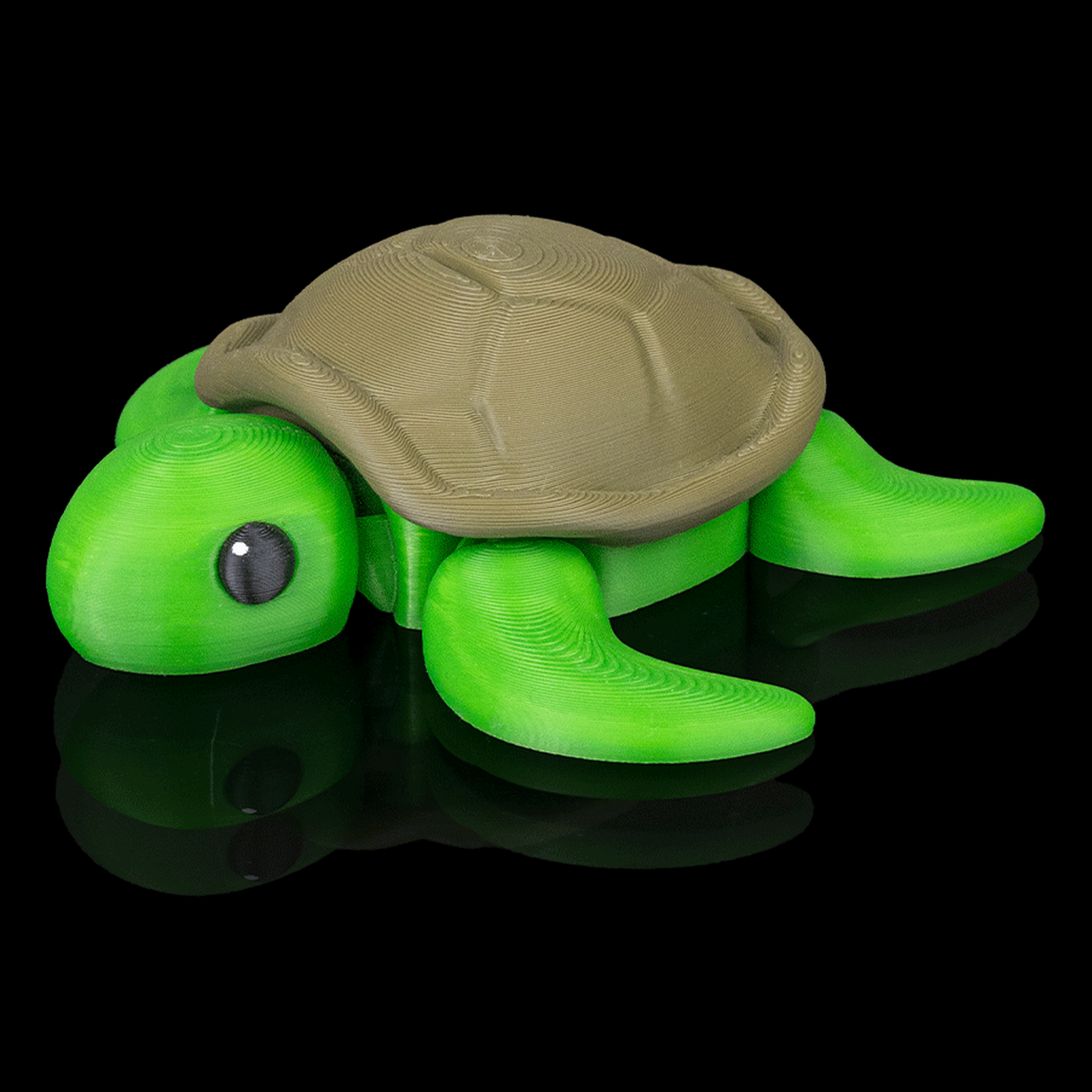 Llavero de tortuga descansando