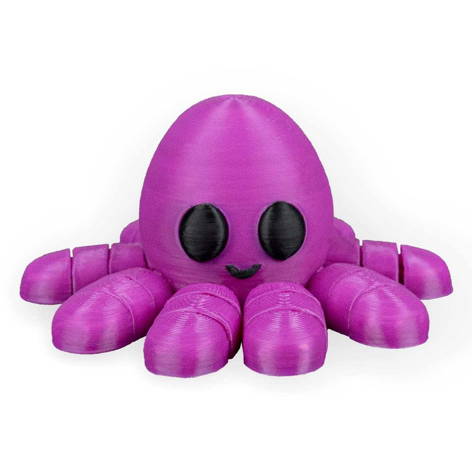 Llavero Octopus in Ocean Rest
