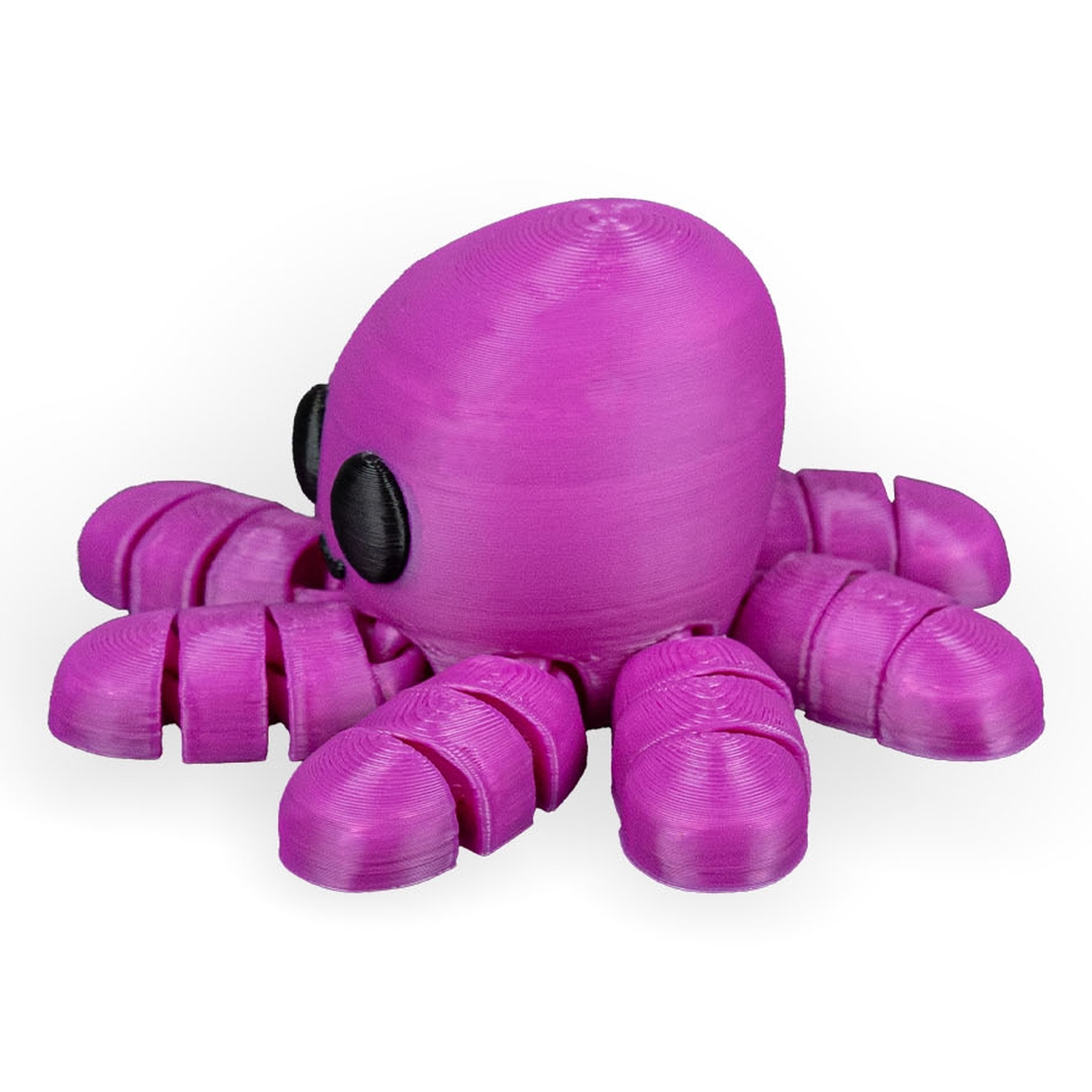 Llavero Octopus in Ocean Rest