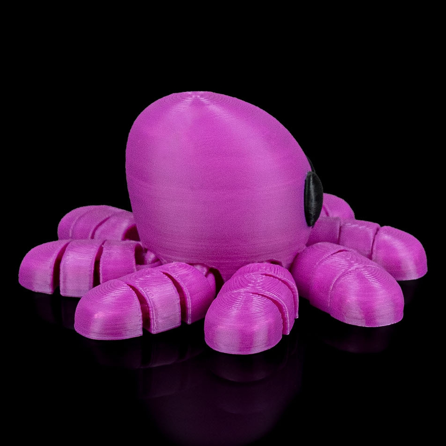 Llavero Octopus in Ocean Rest