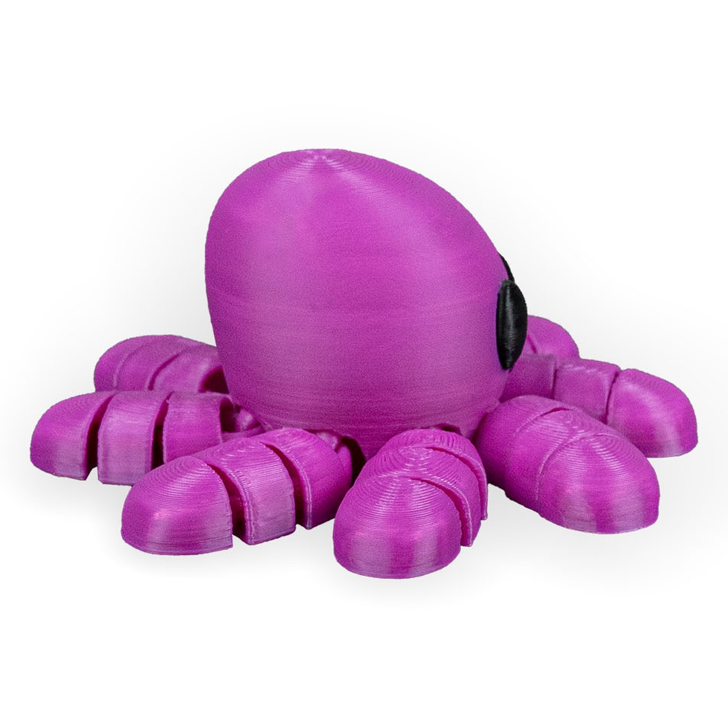 Llavero Octopus in Ocean Rest