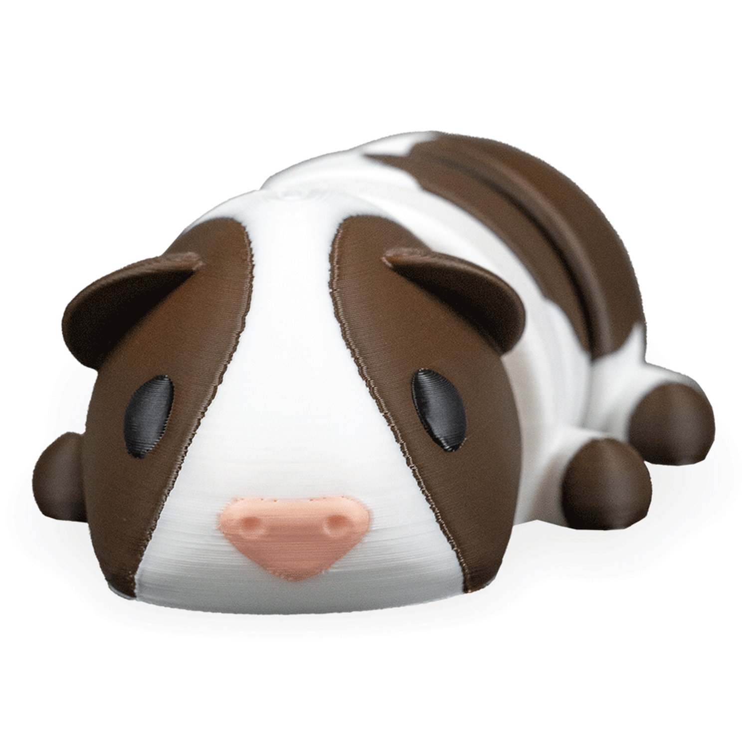 Llavero Guinea Pig in Field Nest