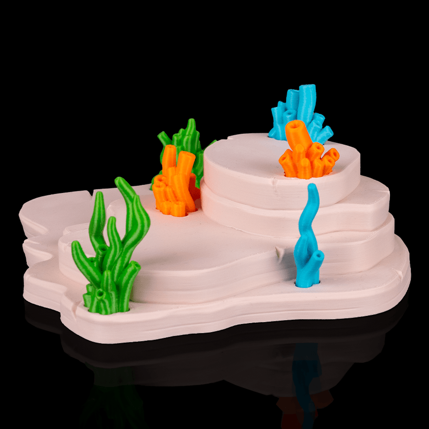 Expositor Axolotl Haven