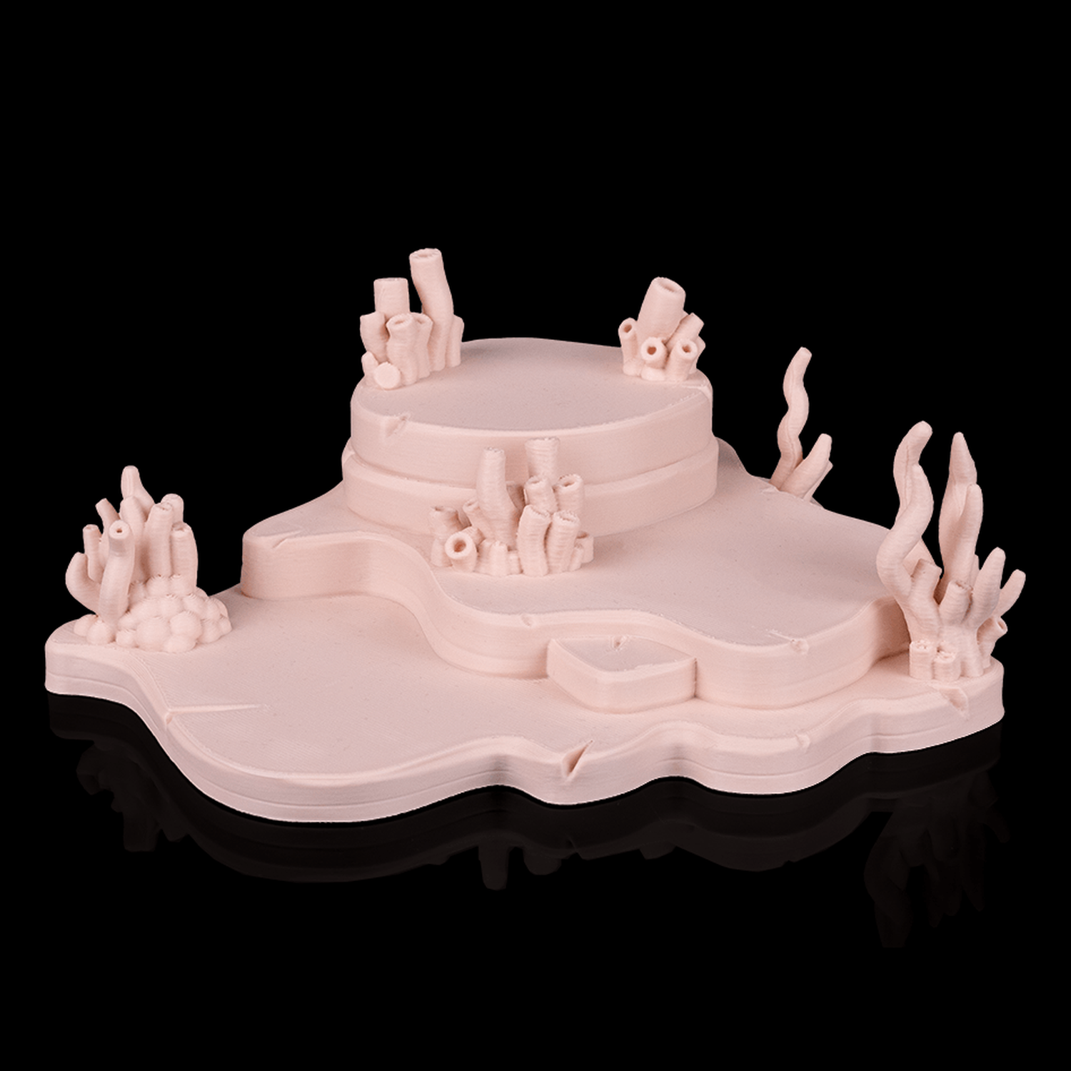 Expositor Axolotl Haven