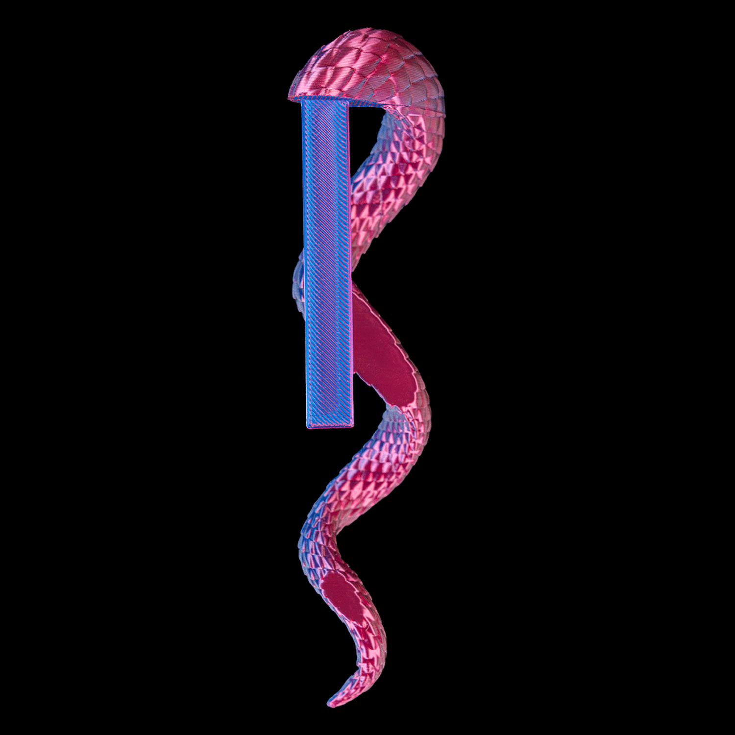 Portalápices Dragon Tail