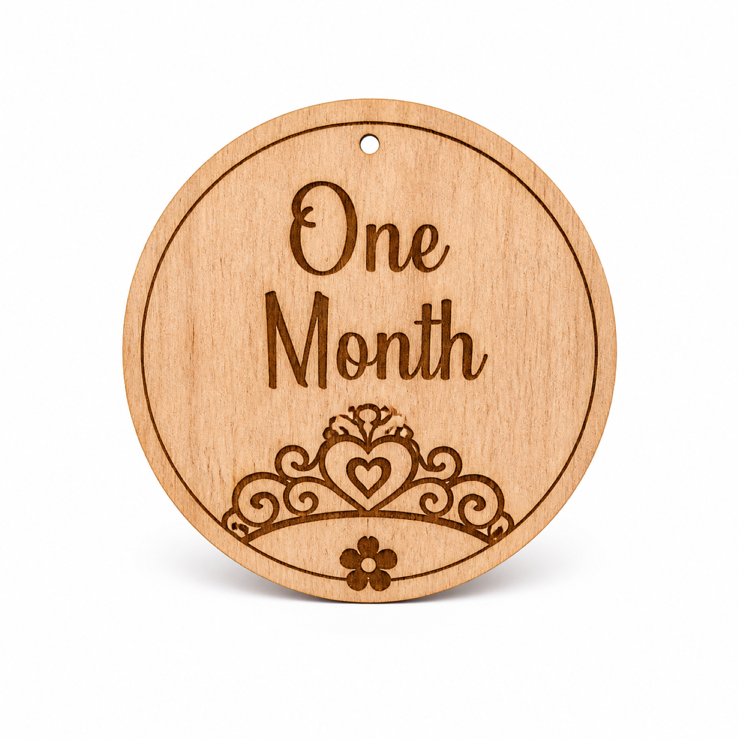Princess Themed Baby Milestone Discs