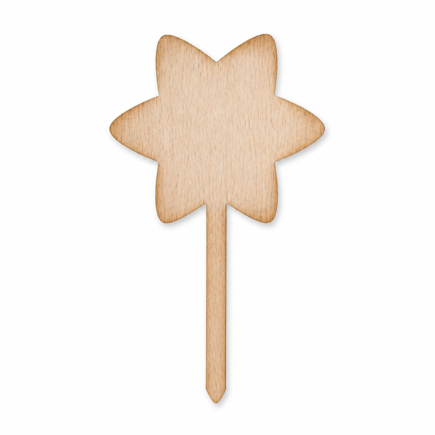 Star Cake Topper, Plant Tag, Gift Tag
