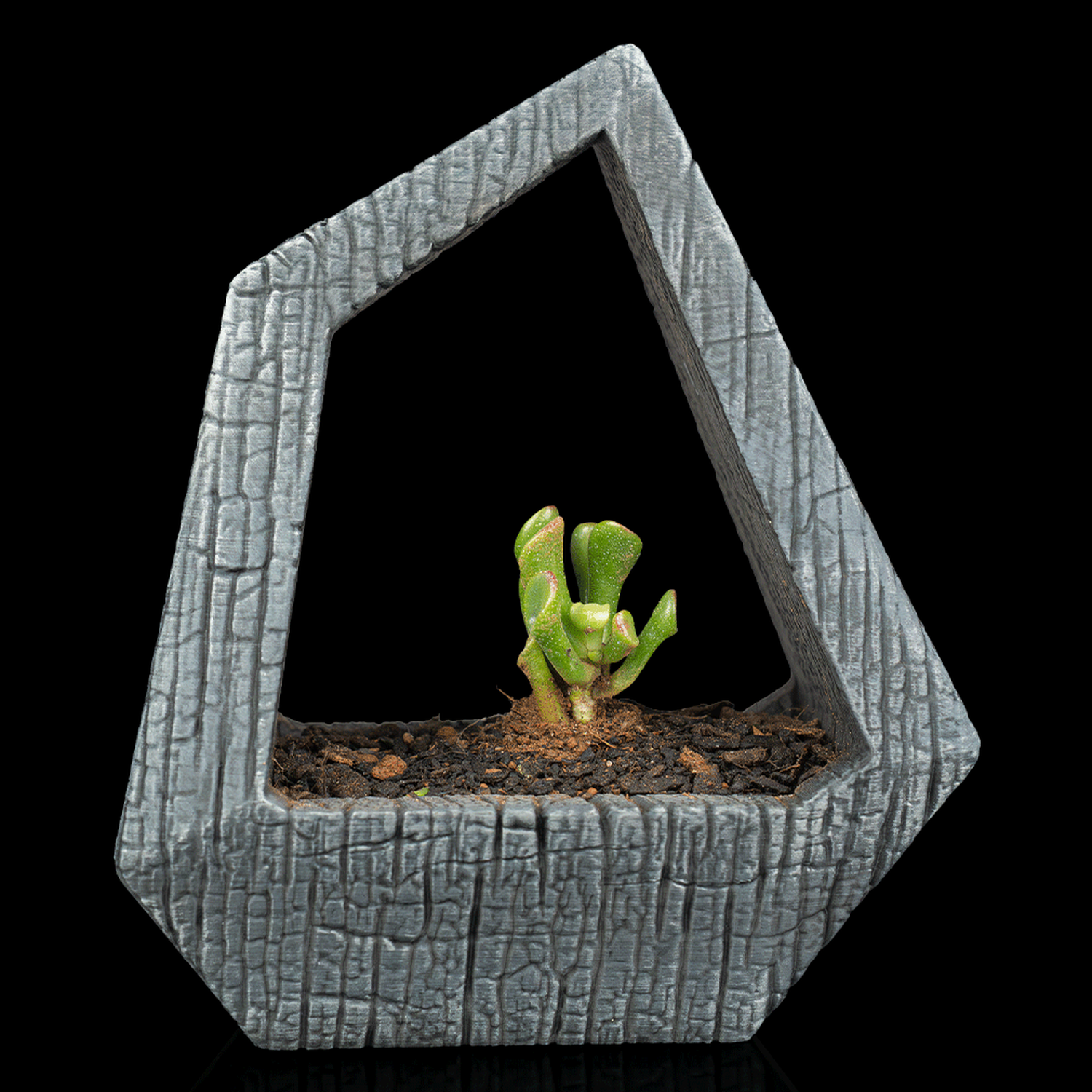 Maceta autorregable Obsidian Frame