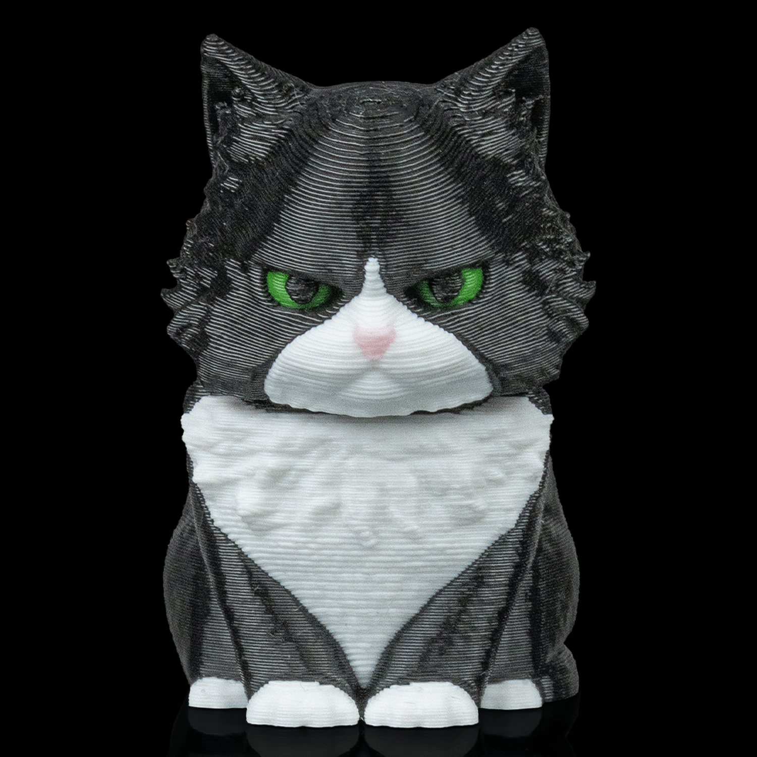 Figura decorativa Launch Pack - Maine Coon