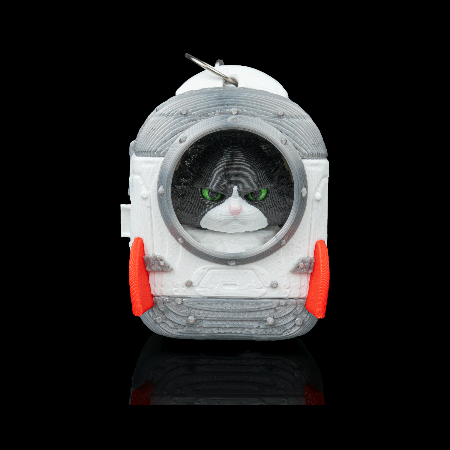Figura decorativa Launch Pack - Maine Coon