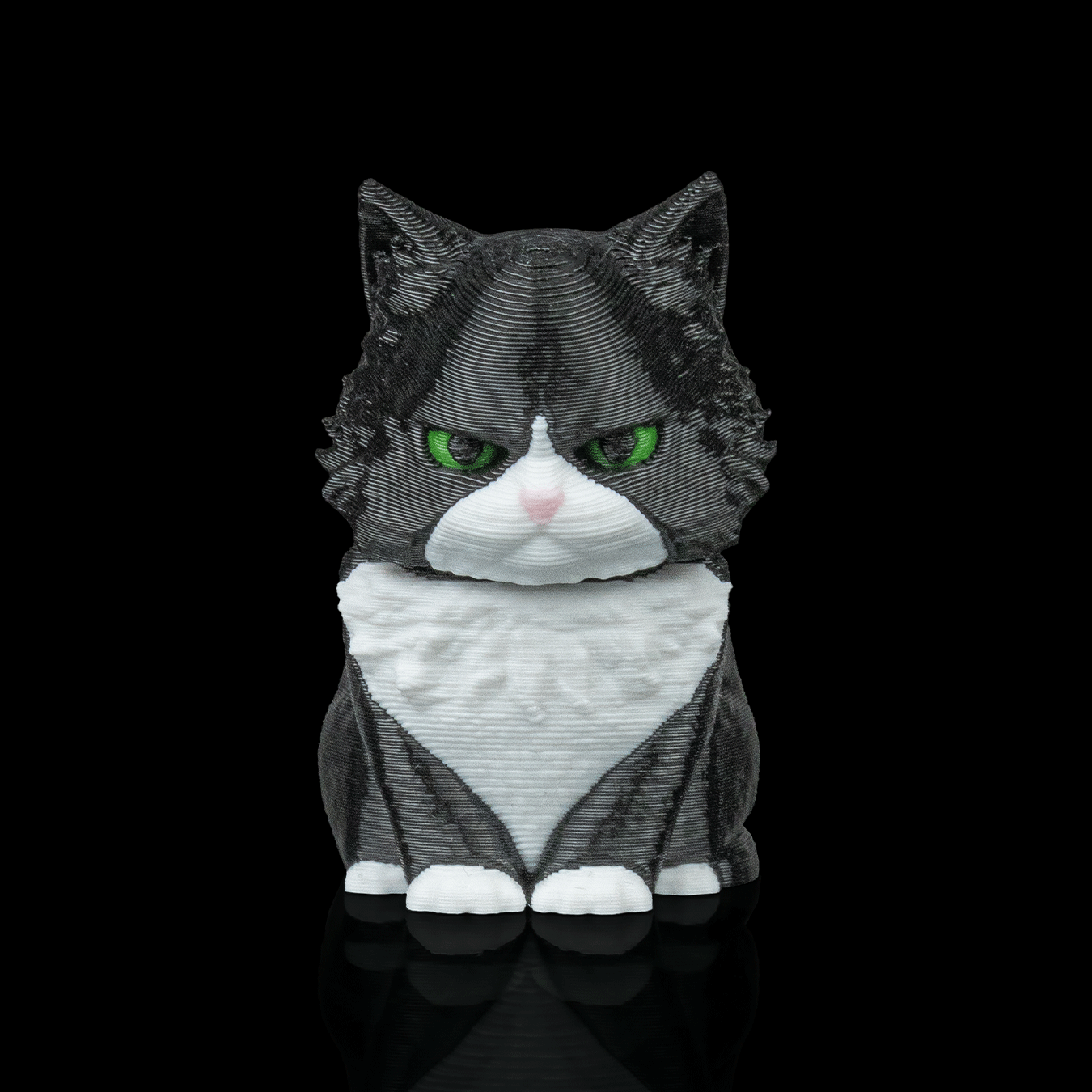 Figura decorativa Launch Pack - Maine Coon