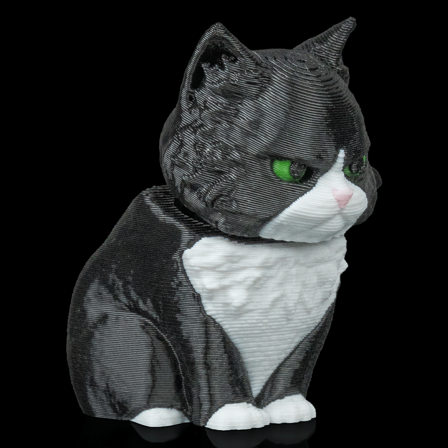 Figura decorativa Launch Pack - Maine Coon