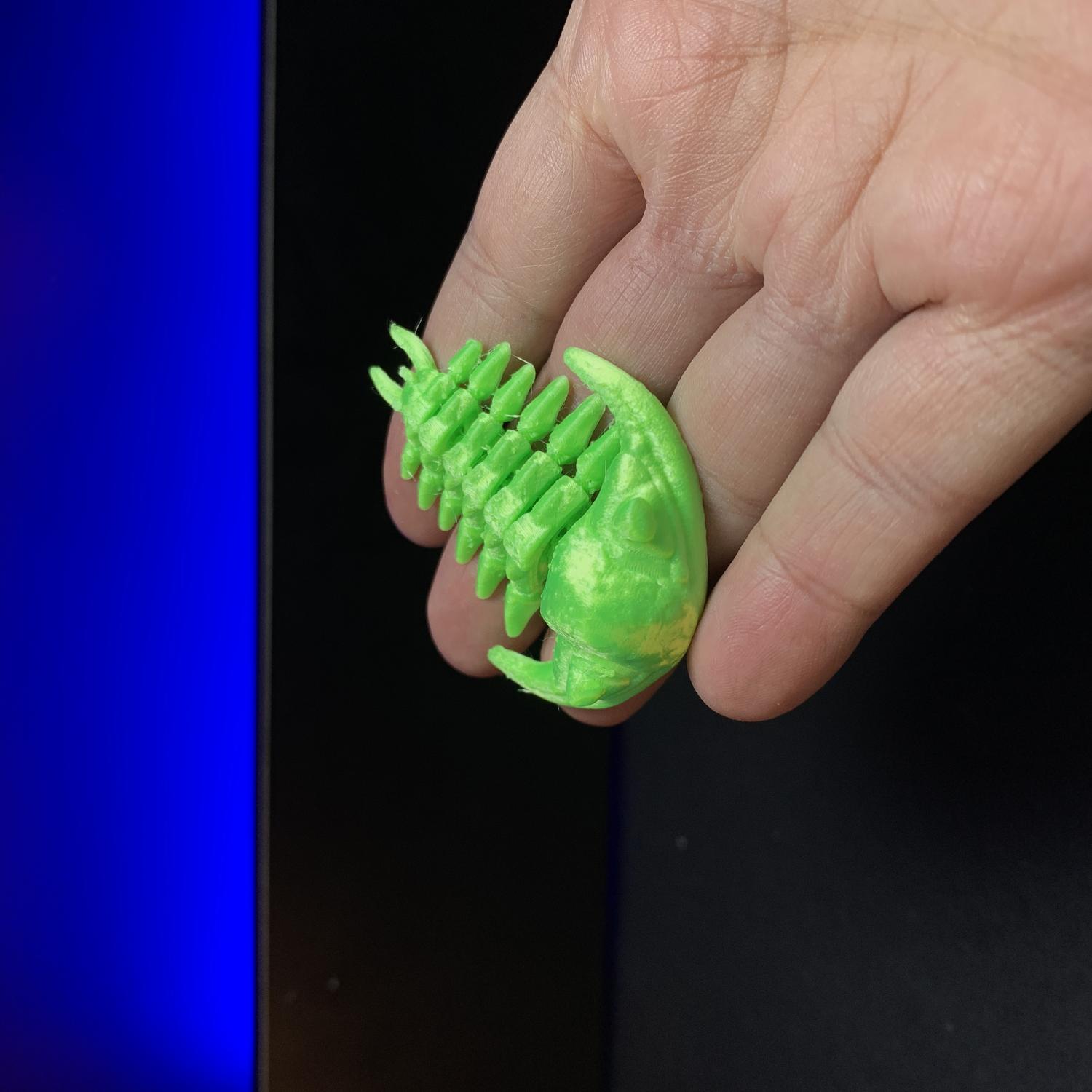 Trilobite articulado
