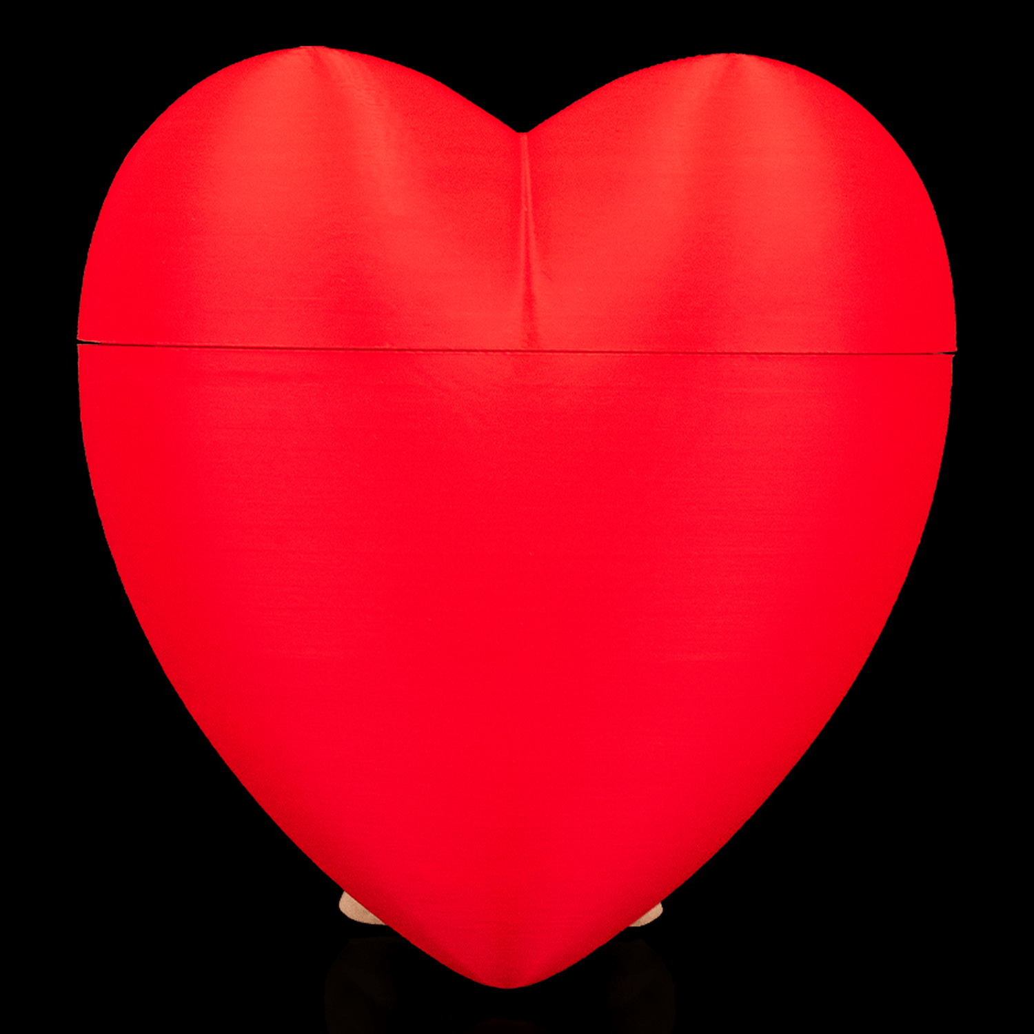 Caja decorativa Heart Carrier