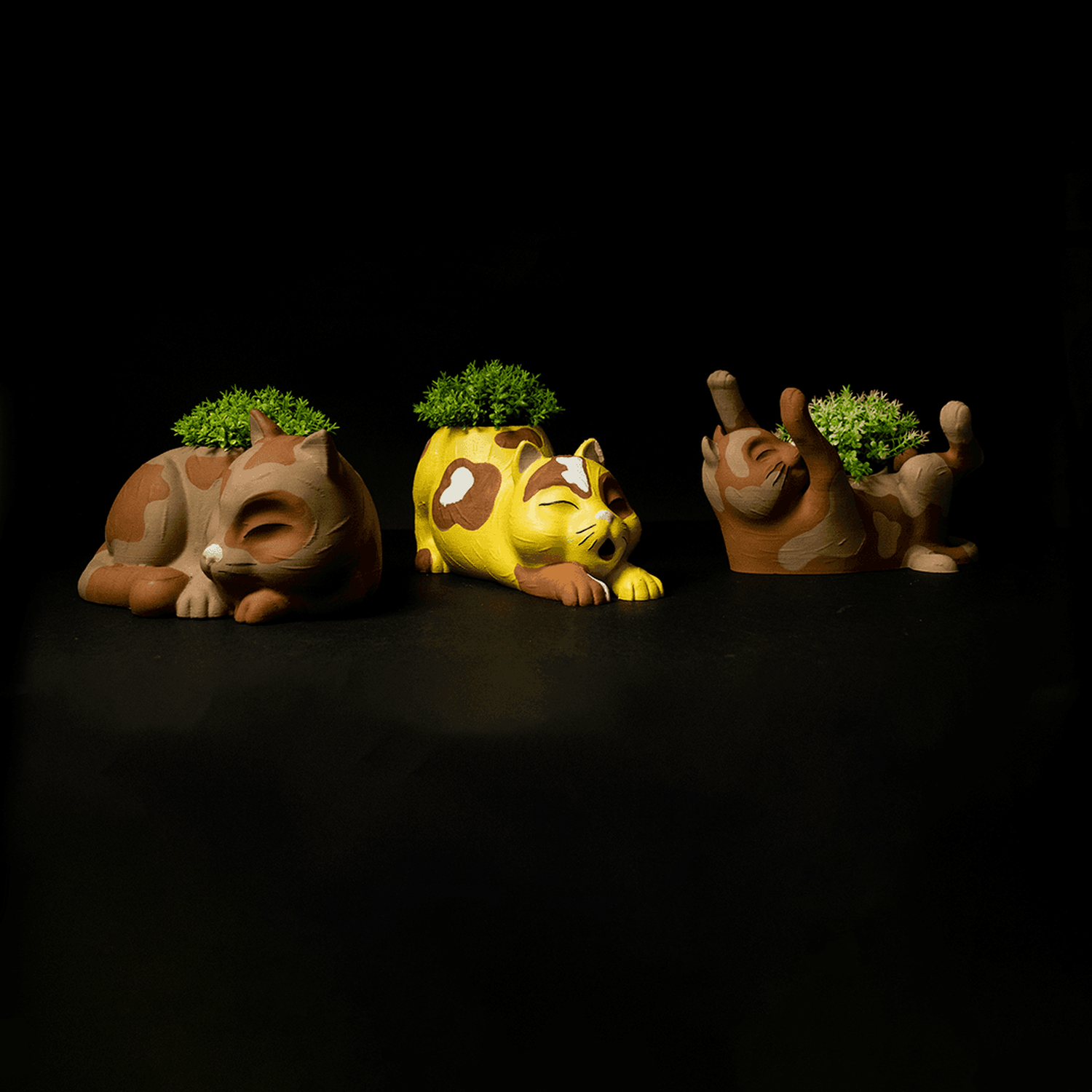 Maceteros de gato