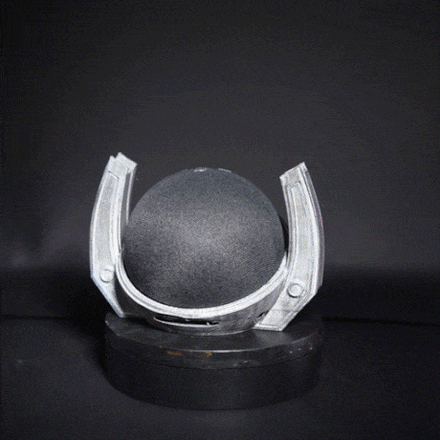 Infinity Alexa Holder