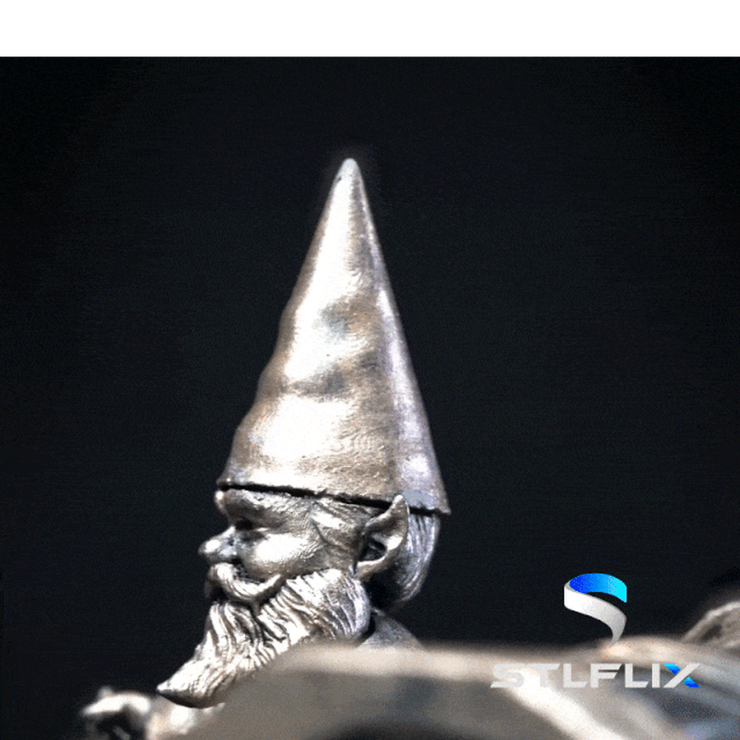 My Treasure Gnome