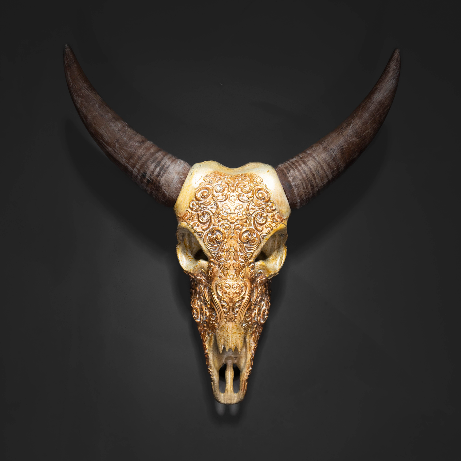 Bill, the Buffalo Skull
