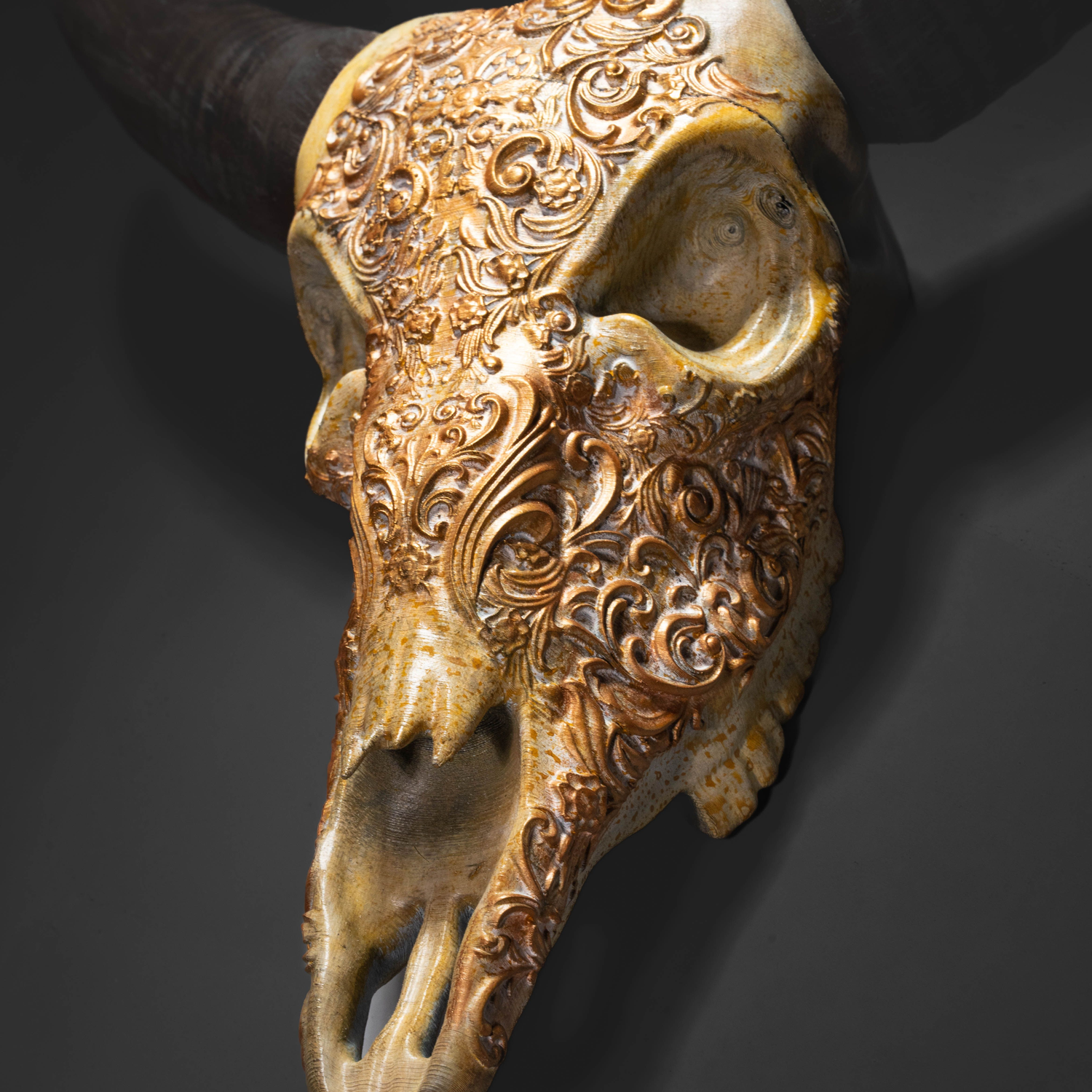 Bill, the Buffalo Skull