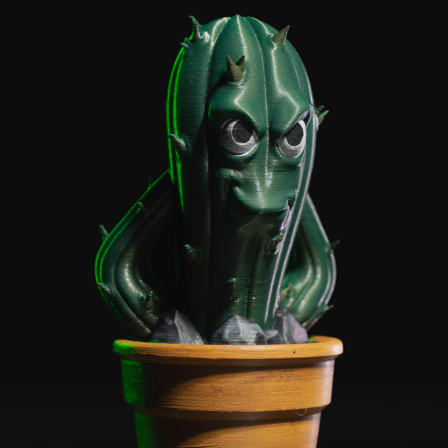 Prickly Punk Gang 02