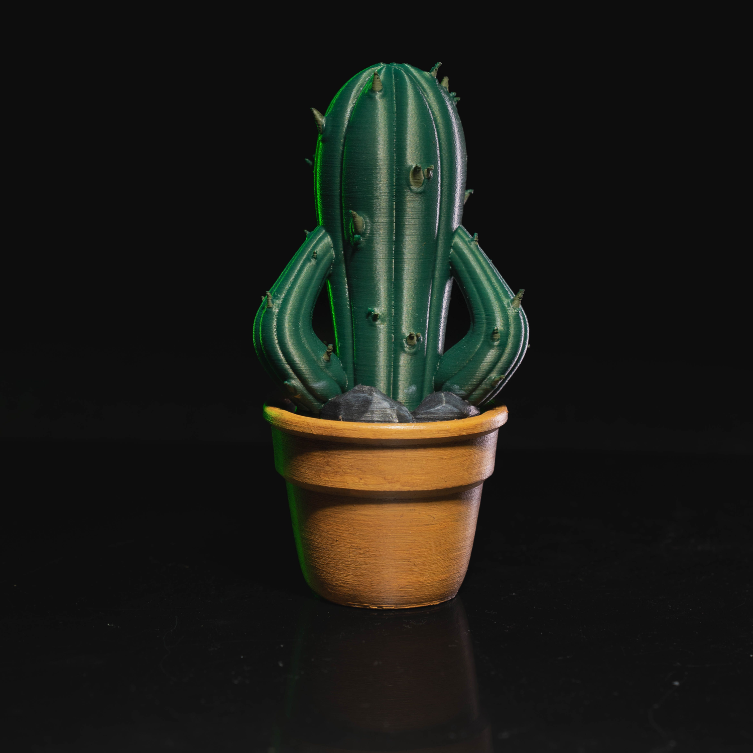 Prickly Punk Gang 02