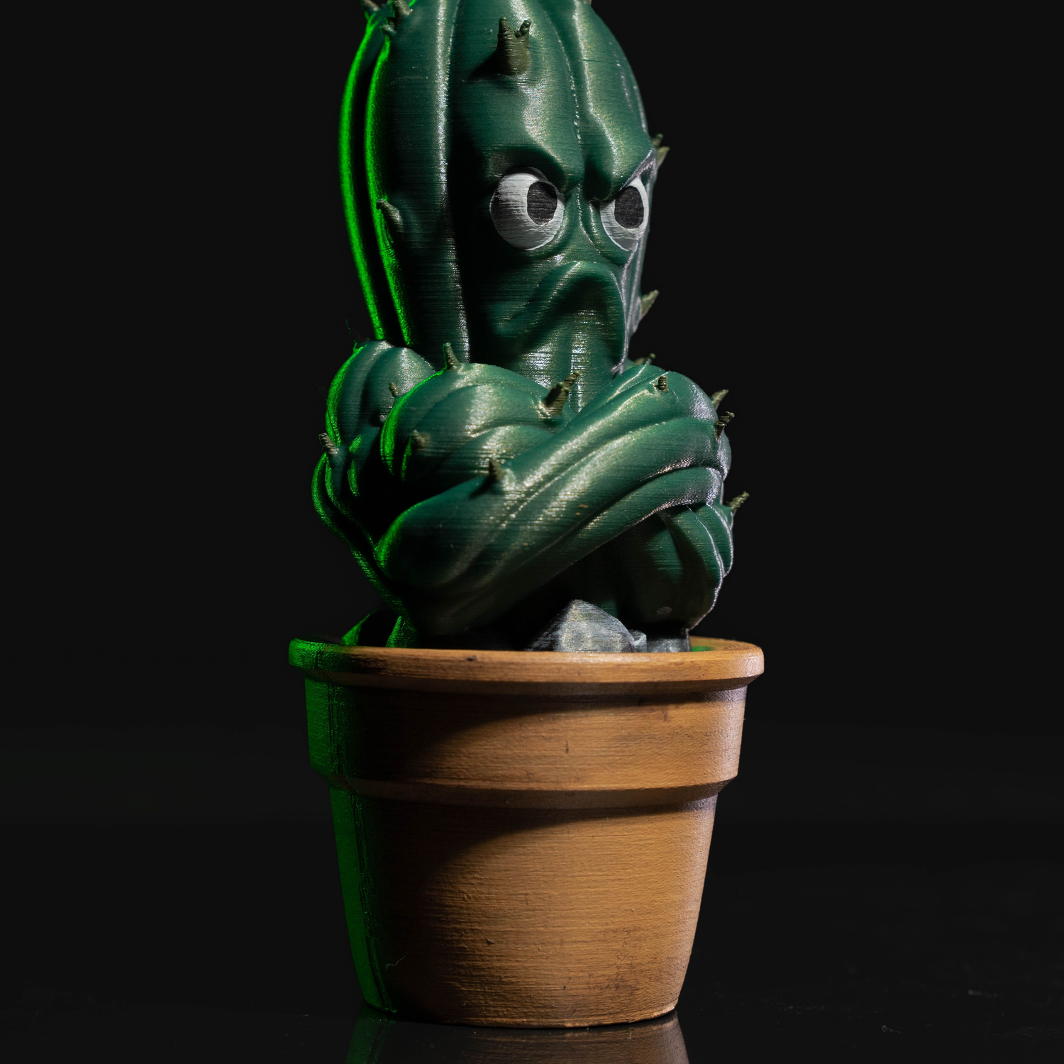 Prickly Punk Gang 03