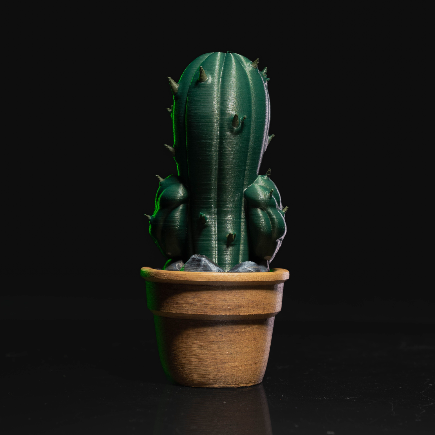 Prickly Punk Gang 03